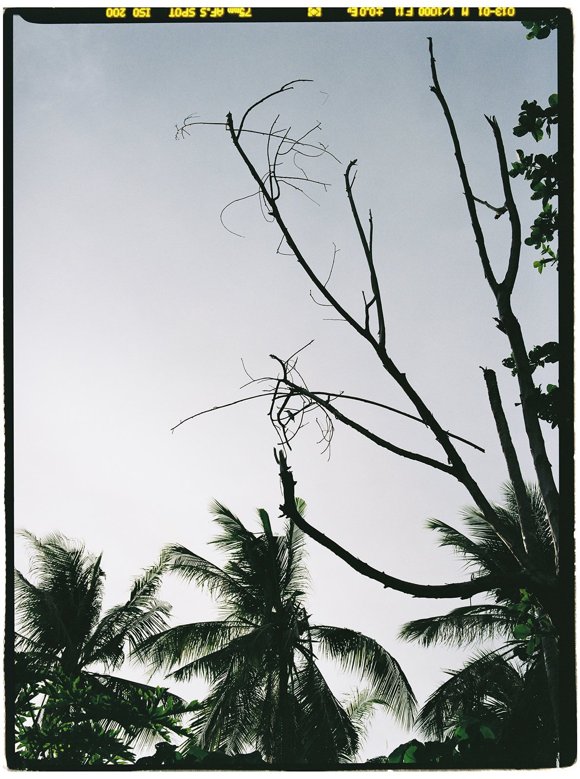 Philippines_pentax_31_websize.jpg