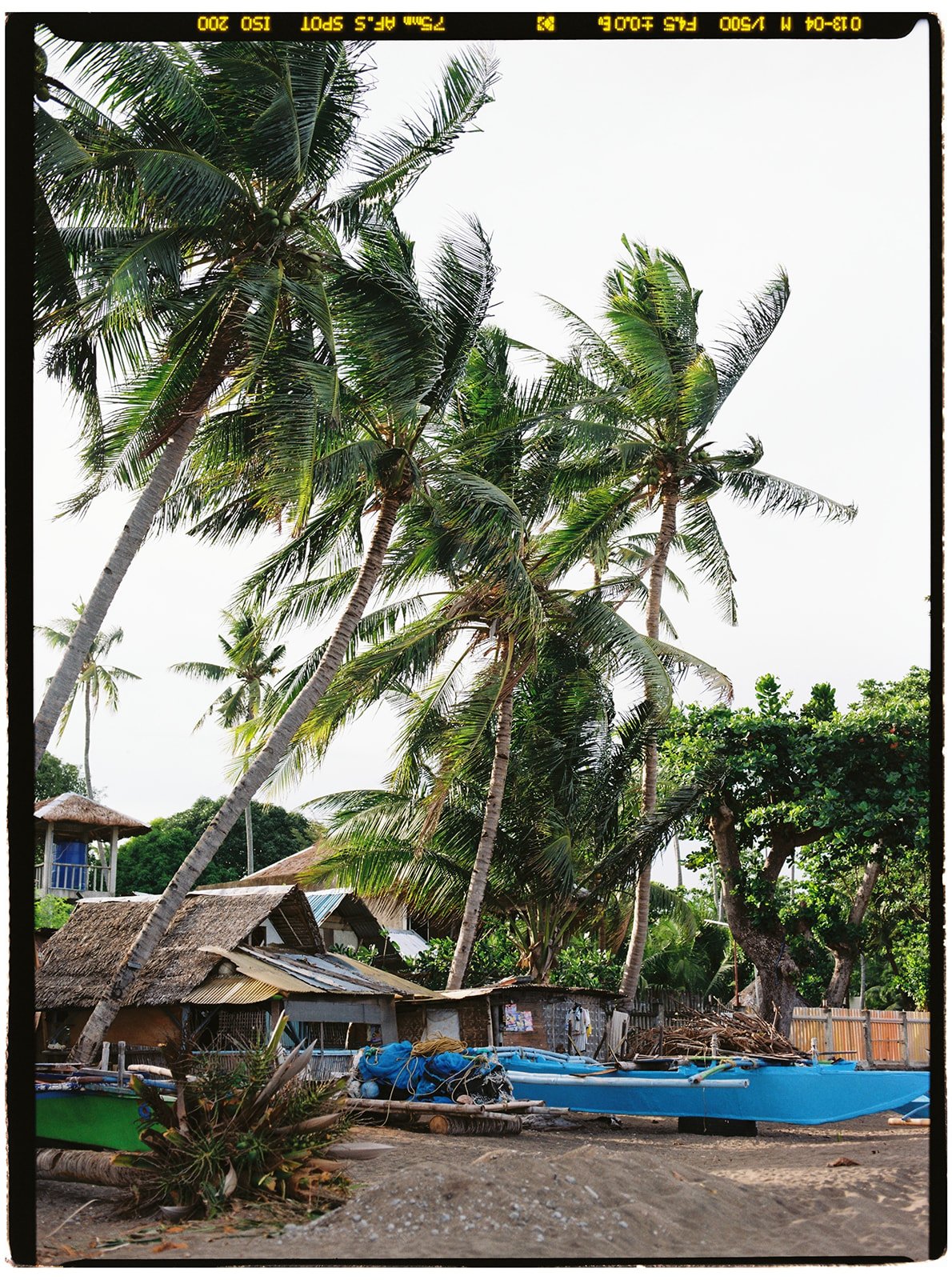 Philippines_pentax_34_websize.jpg