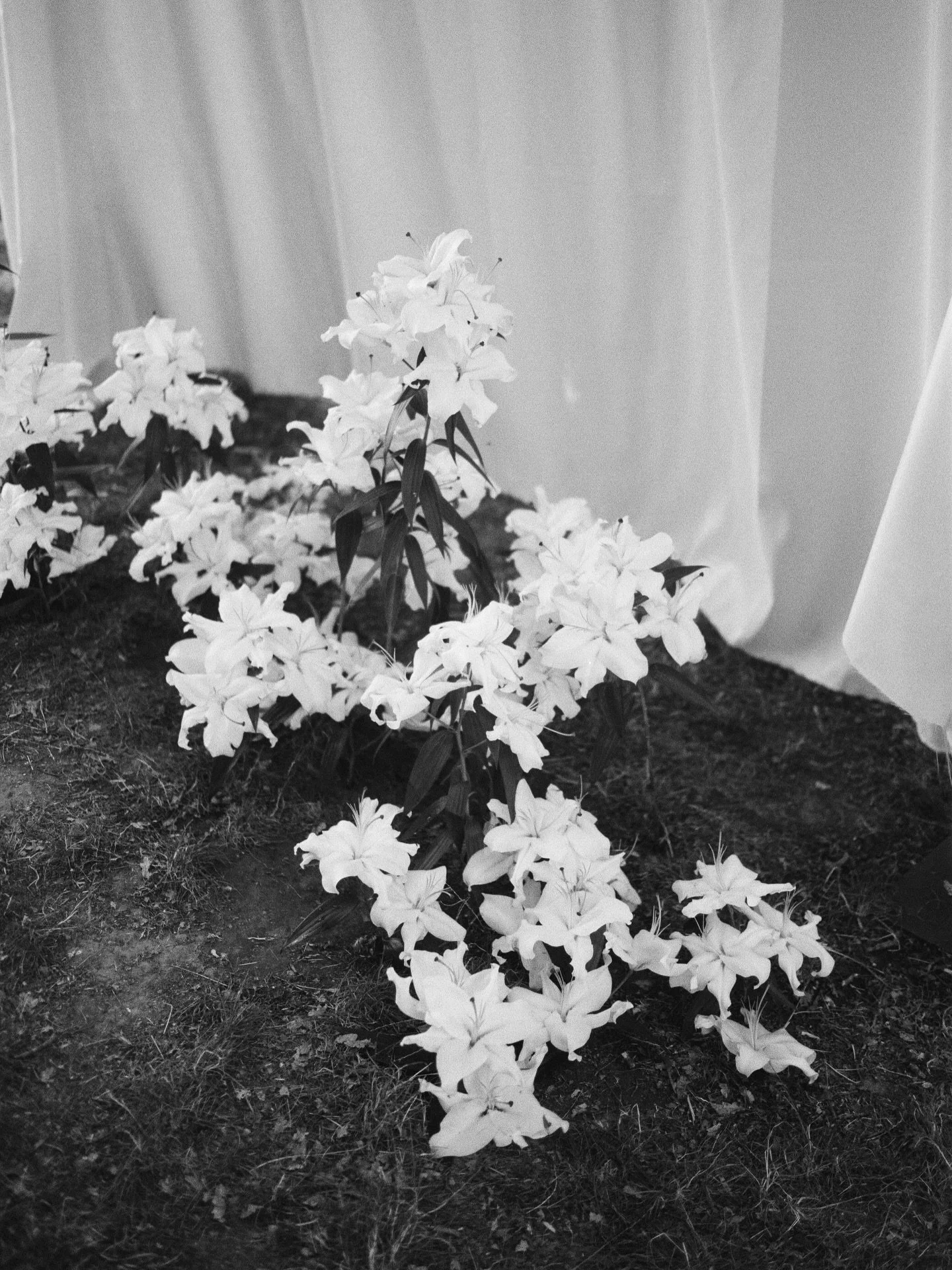 A wedding weekend in the French countryside 🇫🇷

Venue @chateau_du_fey 
Styling @lafedericastudio 
Designs &amp; stationery @deplumayletras

#franceweddingphotographer #francefilmweddingphotographer #destinationfilmweddingphotographer #spainfilmwedd