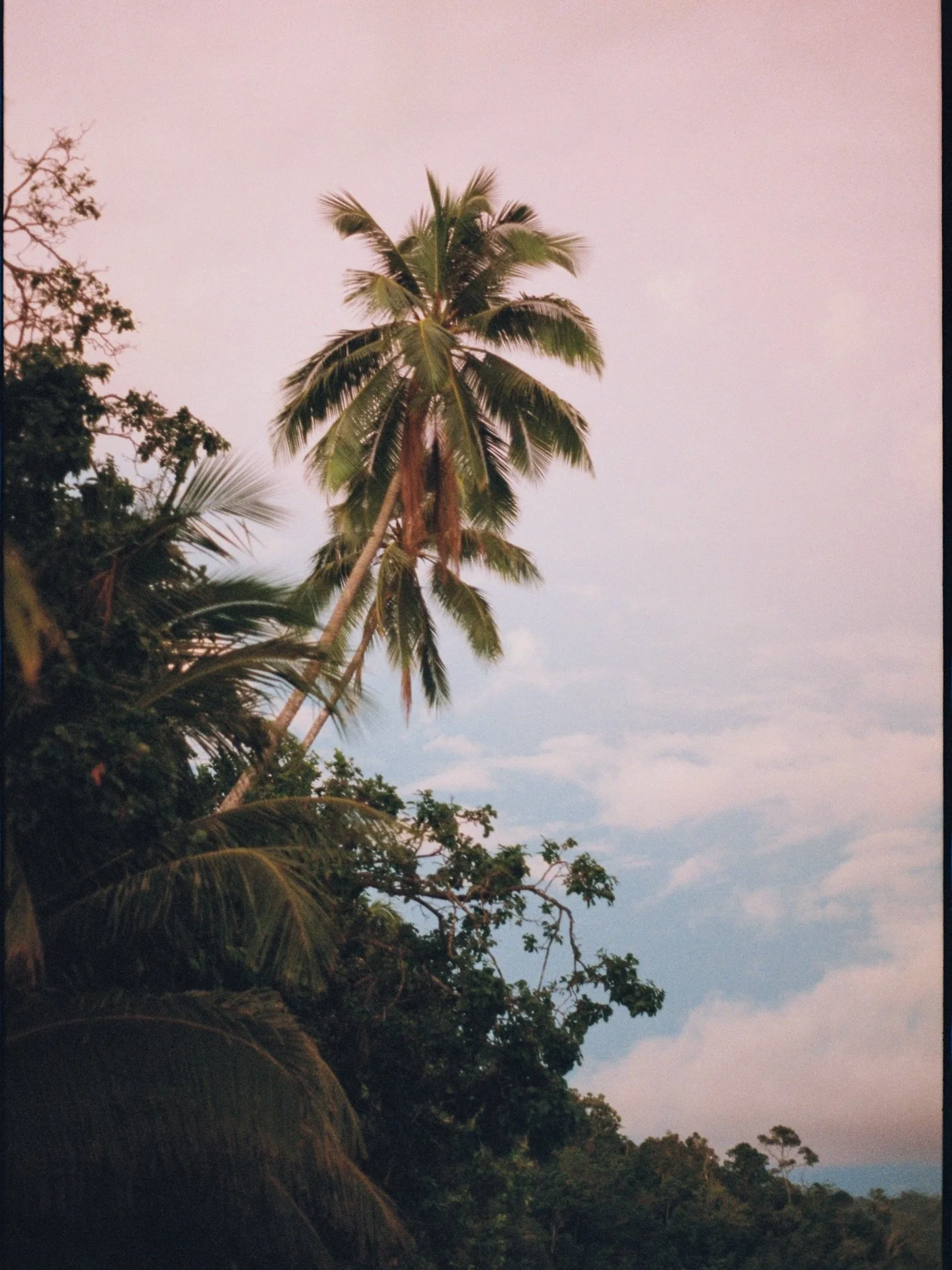 I started travelling on my own when I was in school and by the time I was in my 20s I had already been on some crazy adventures in far away places around the world. It was travel that kickstarted my deep love for photography and storytelling through 