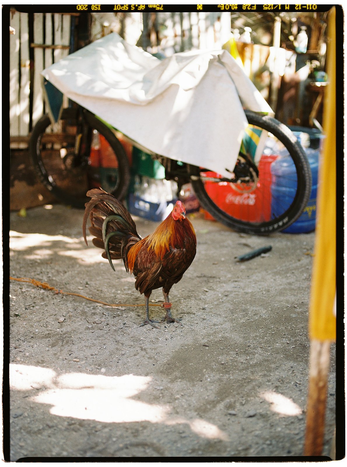 Philippines_pentax_12_websize.jpg