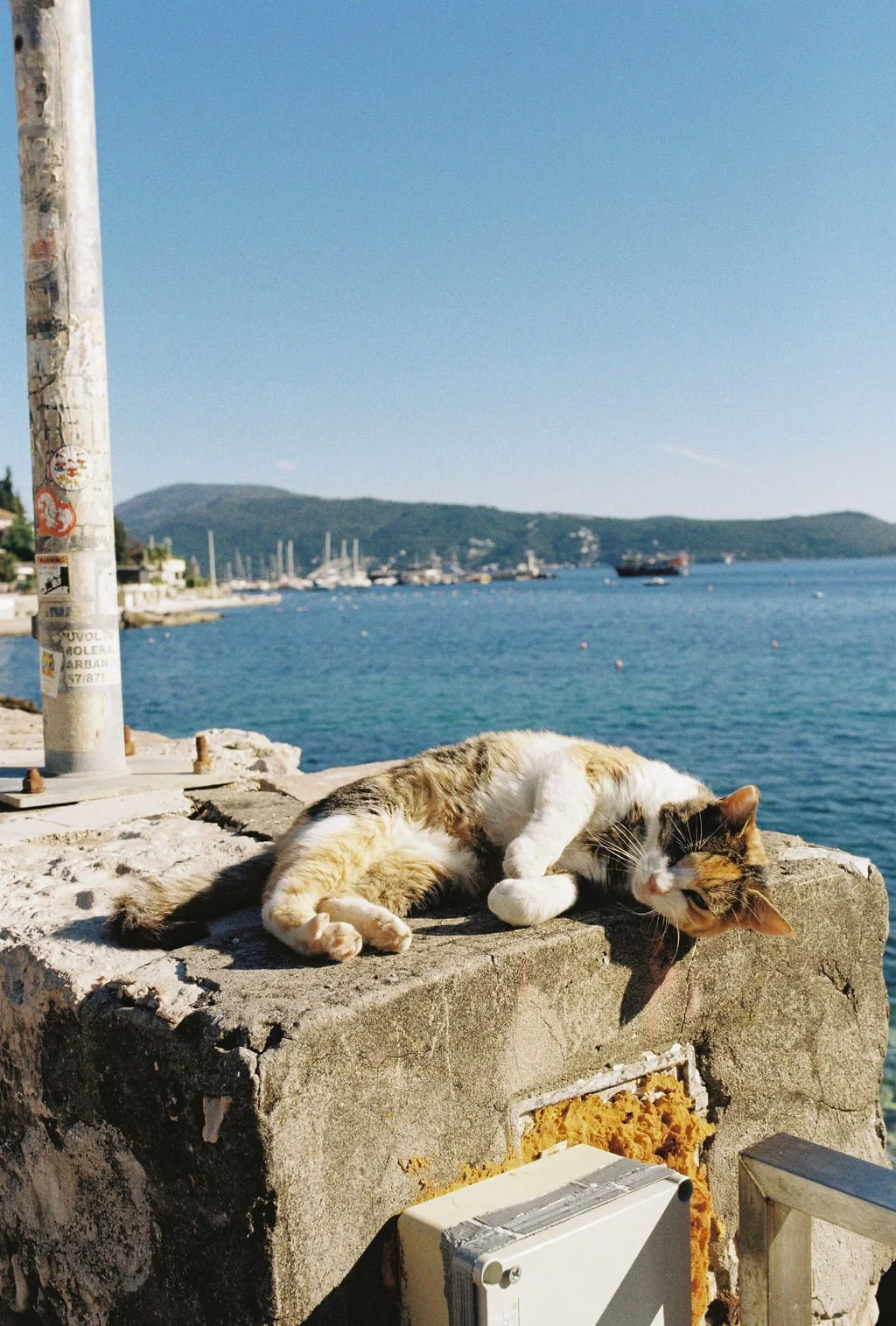 Montenegro_Film_7.jpg