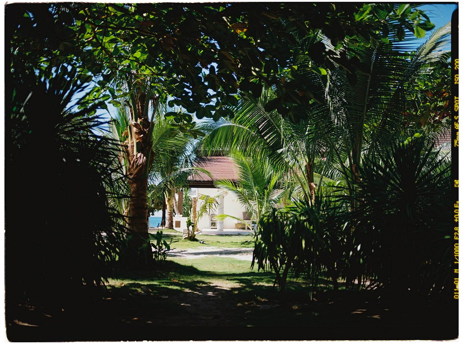 Philippines_pentax_1_websize.jpg