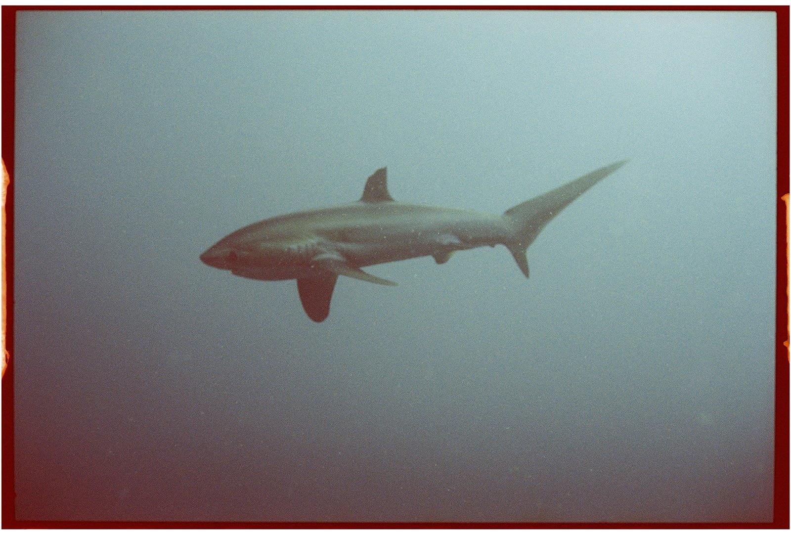 Philippines_nikonos_119_websize.jpg