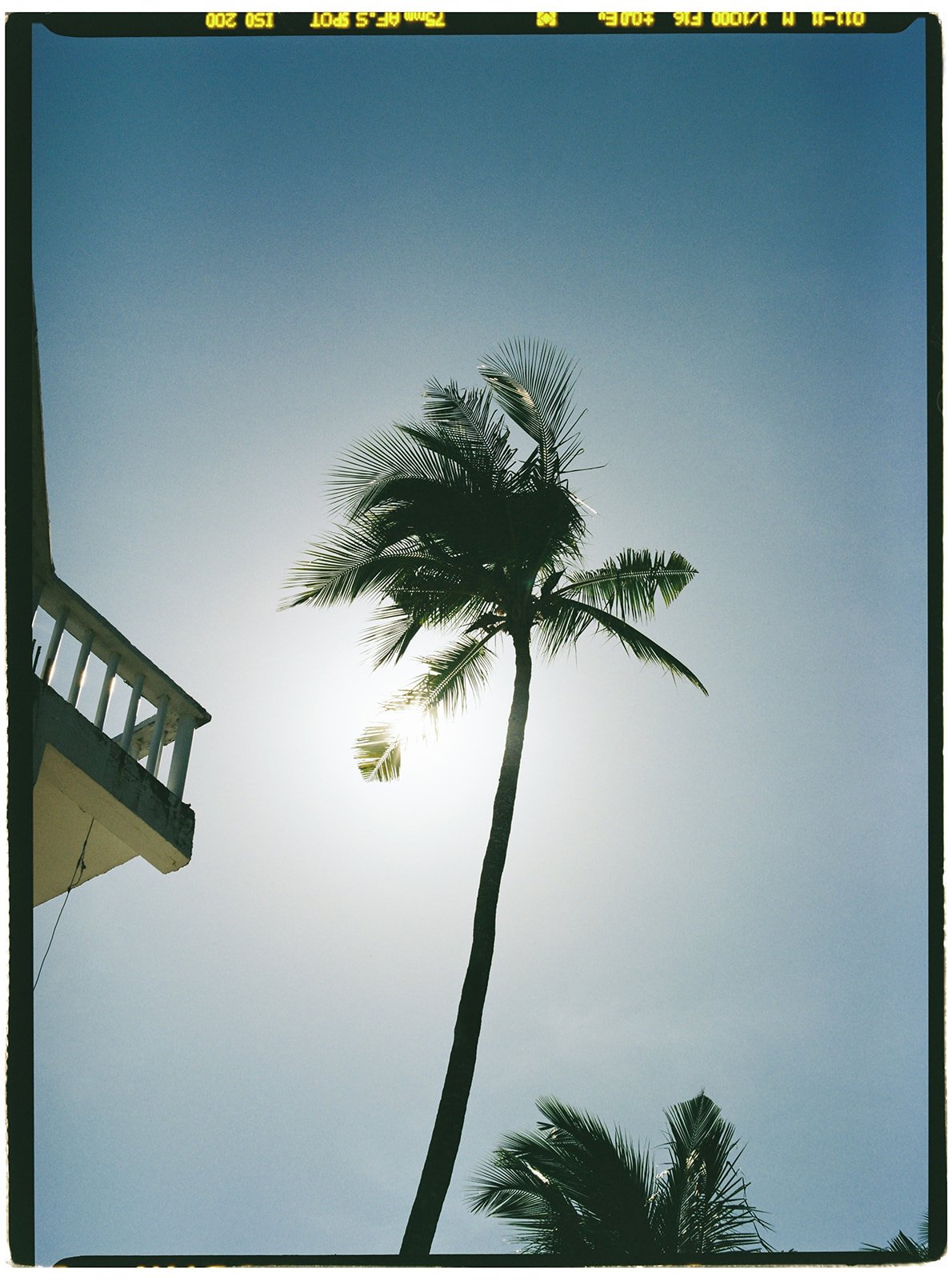 Philippines_pentax_11_websize.jpg