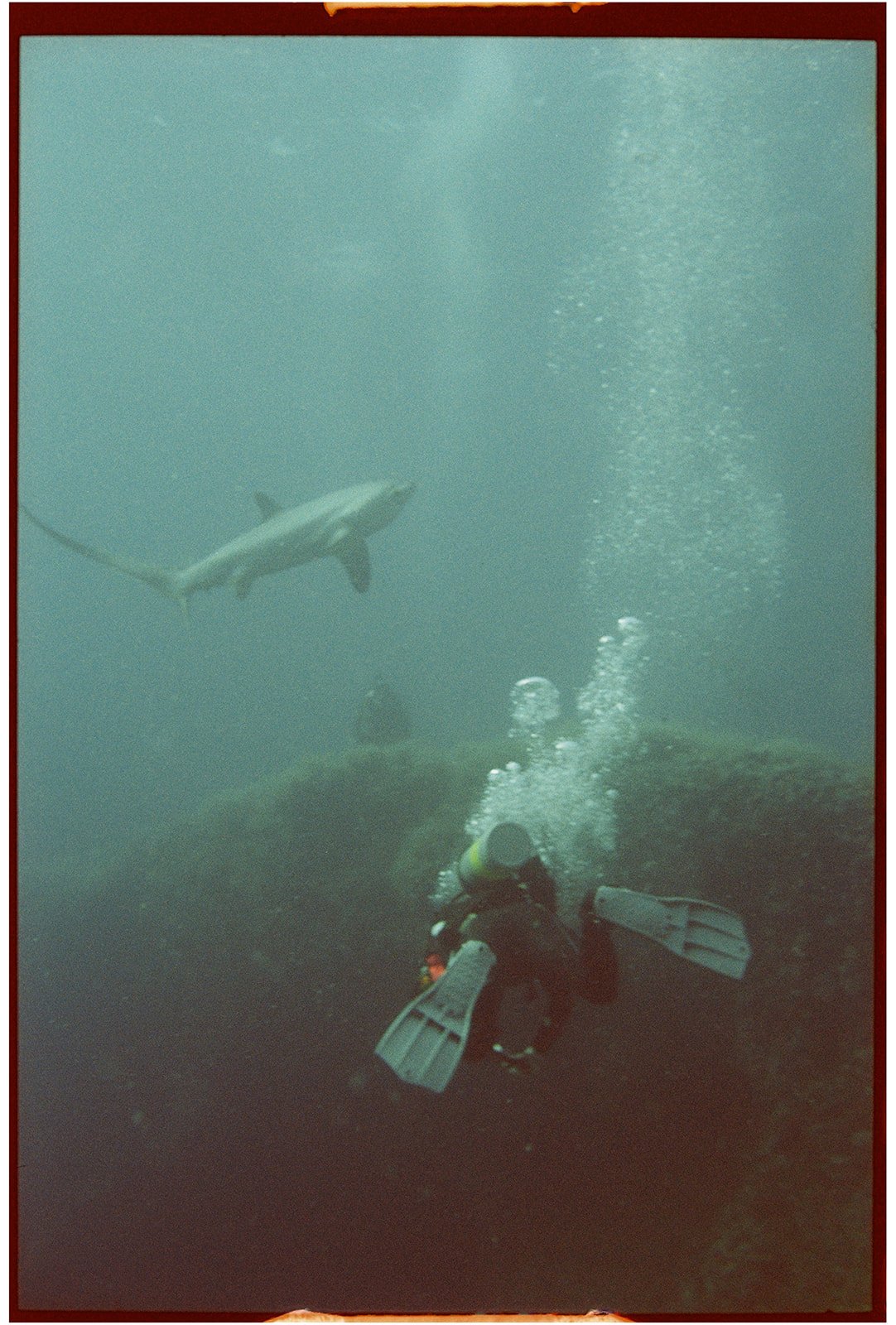 Philippines_nikonos_110_websize.jpg