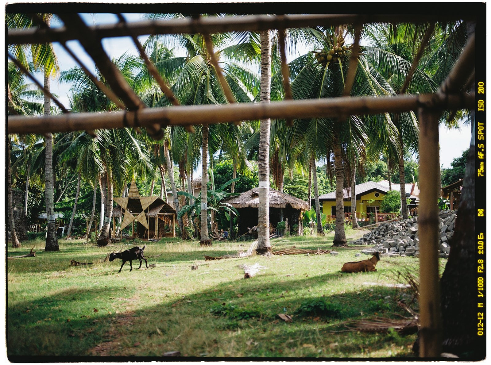Philippines_pentax_27_websize.jpg