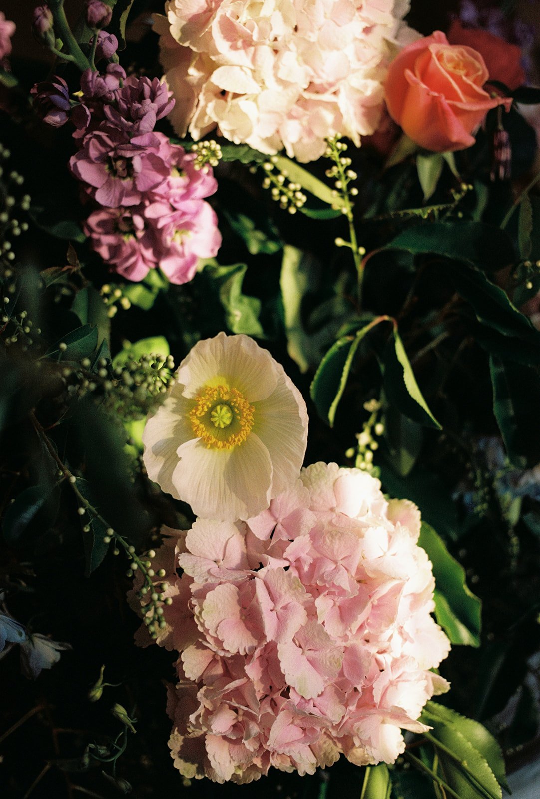 Renee+Joshua_Film_128_websize.jpg