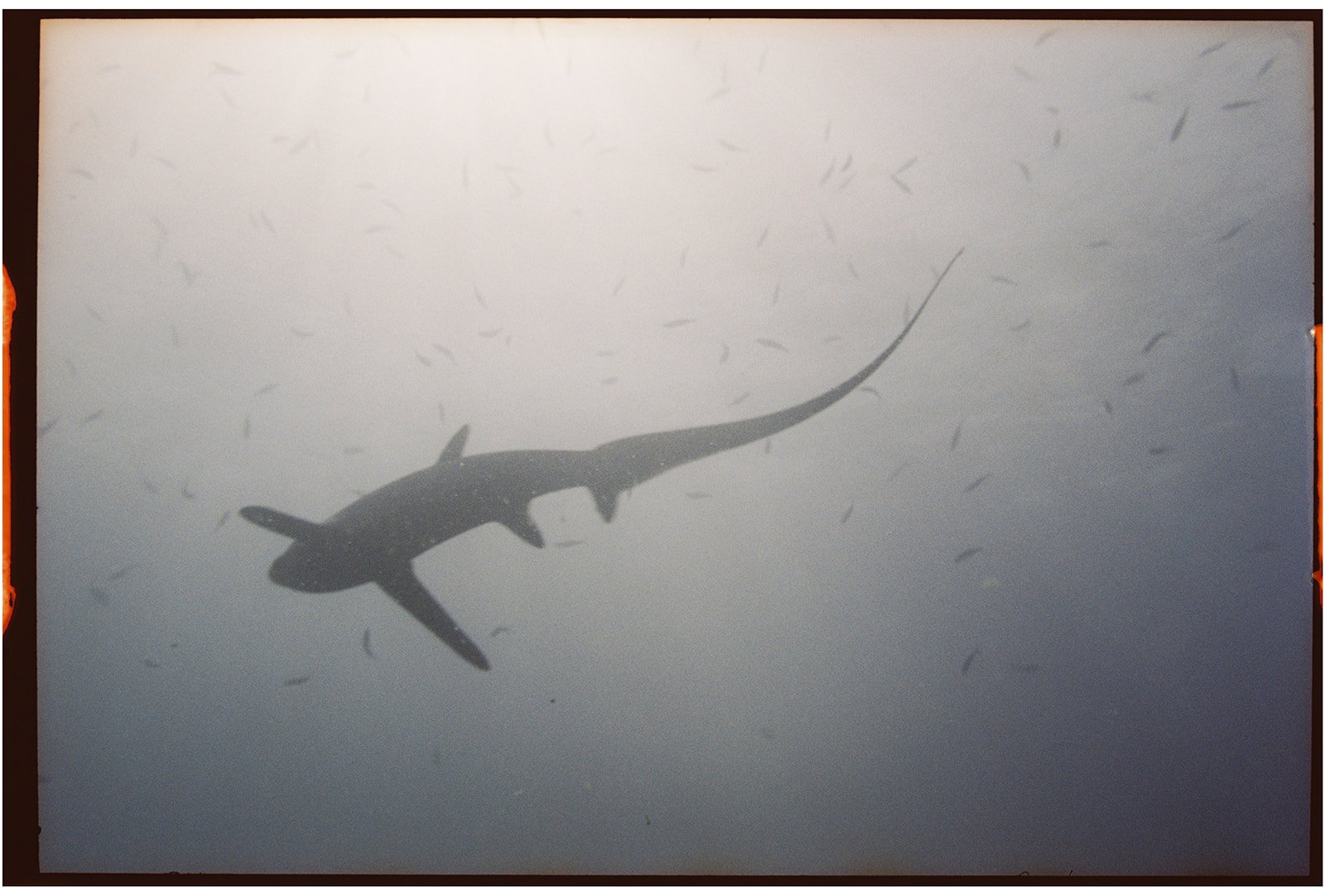 Philippines_nikonos_49_websize.jpg