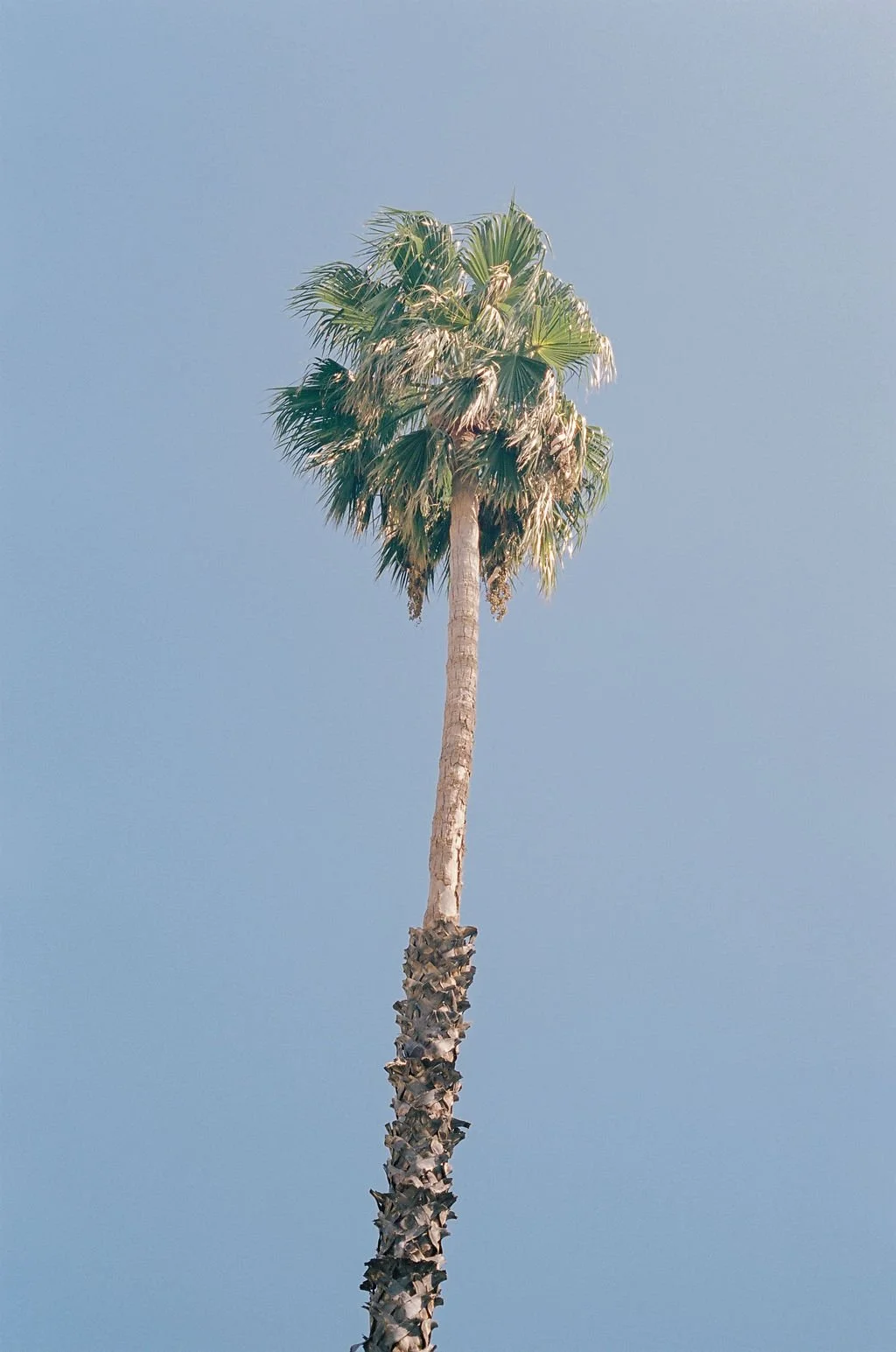 Amalfi-Coast-(40).jpg