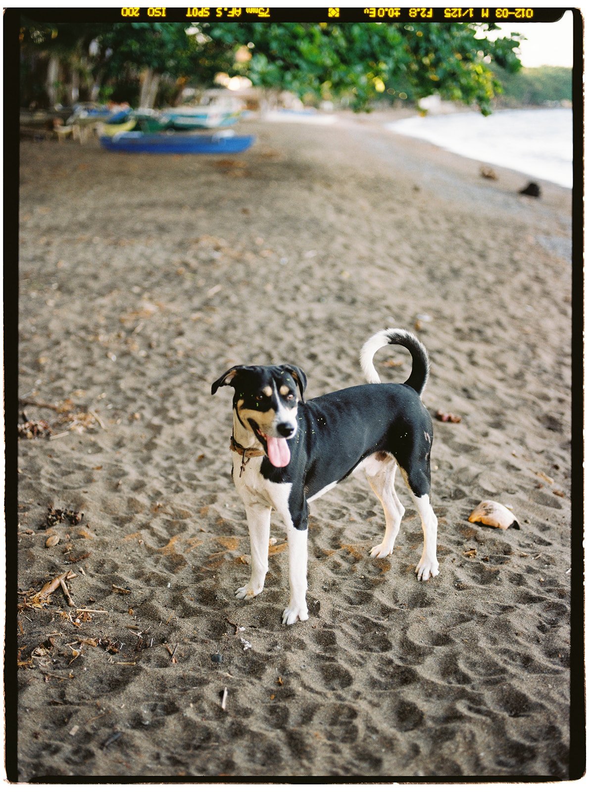 Philippines_pentax_18_websize.jpg