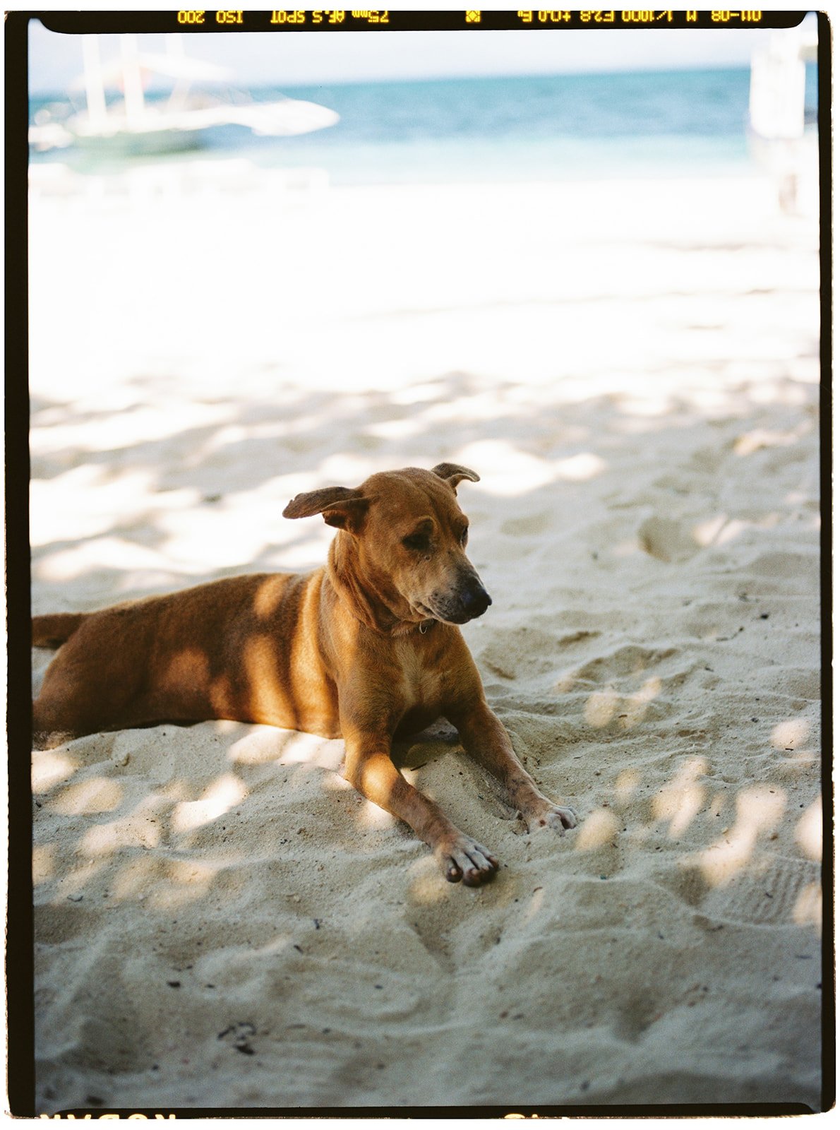 Philippines_pentax_8_websize.jpg