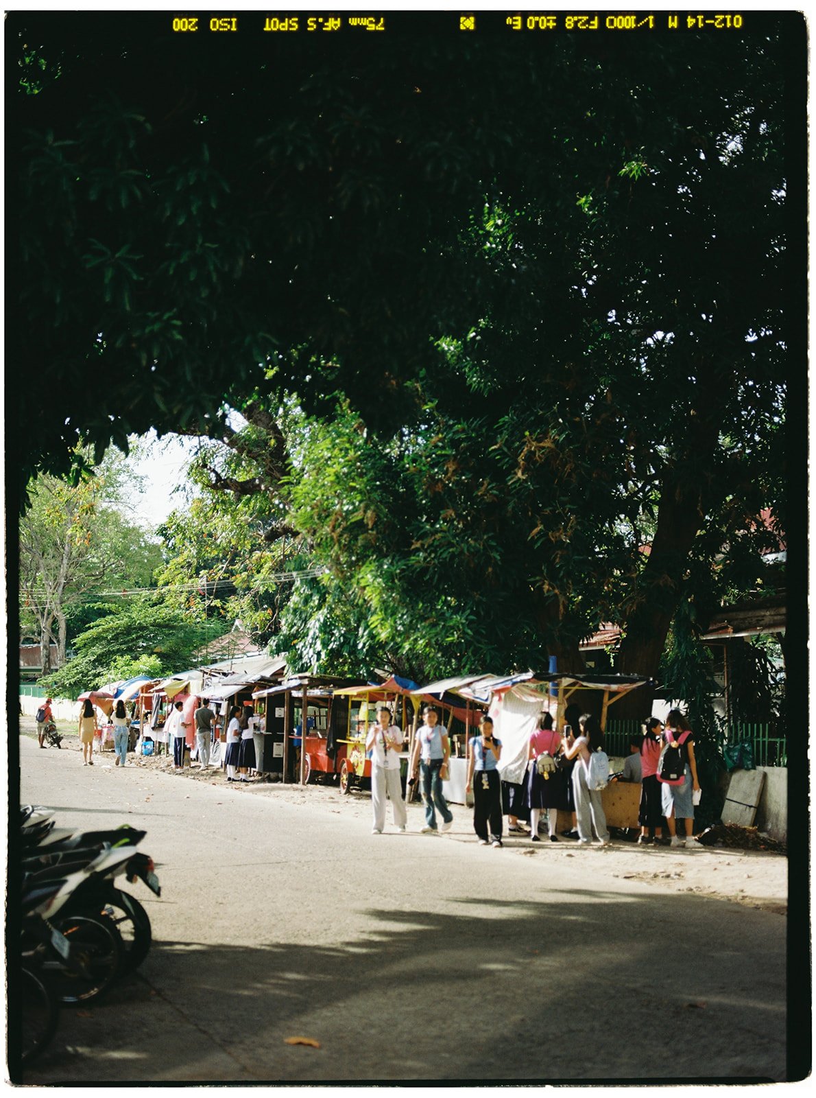 Philippines_pentax_29_websize.jpg