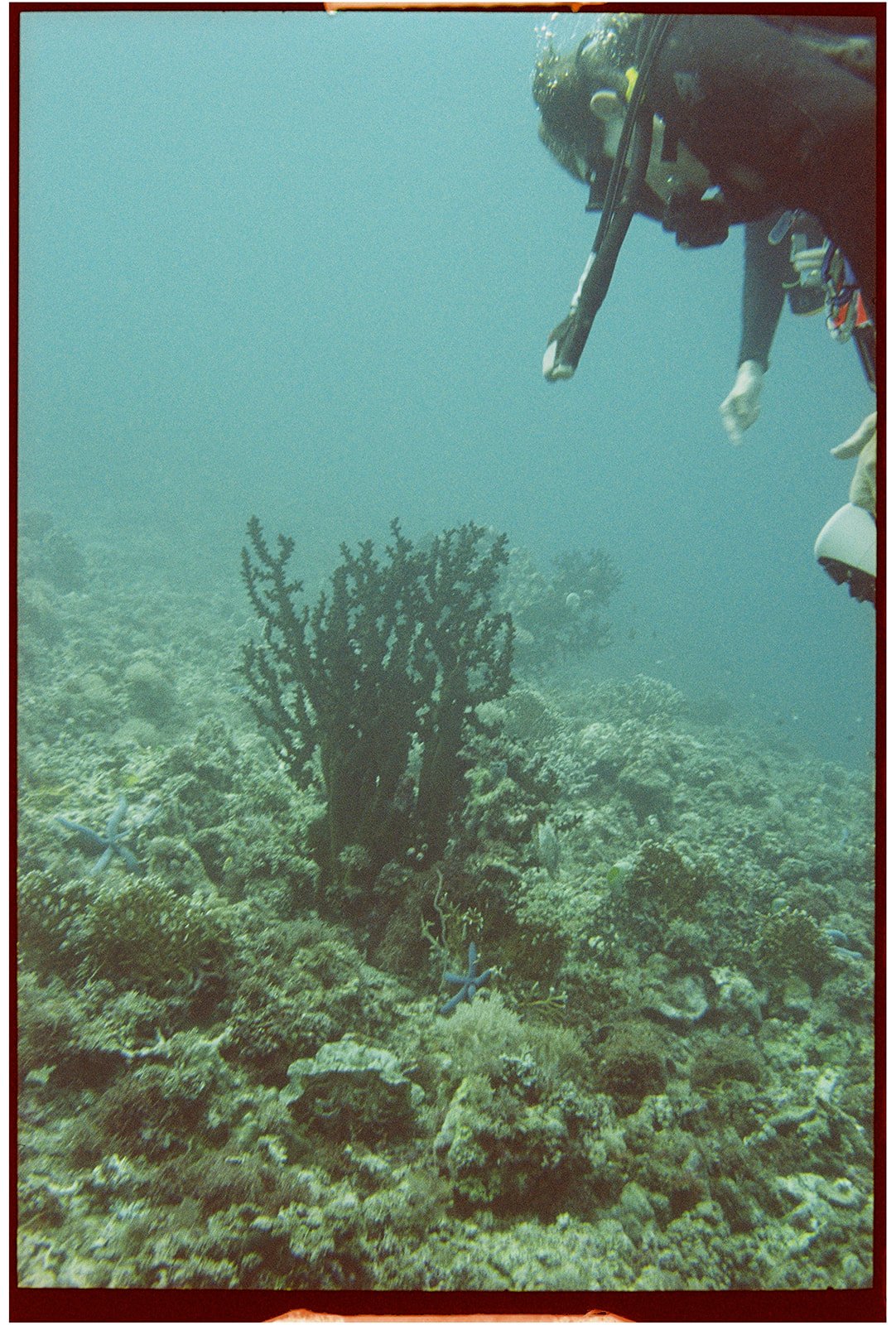 Philippines_nikonos_16_websize.jpg