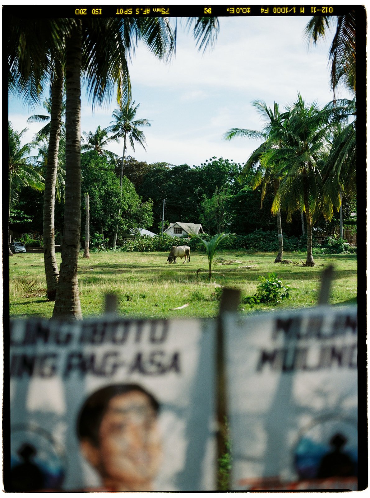 Philippines_pentax_26_websize.jpg