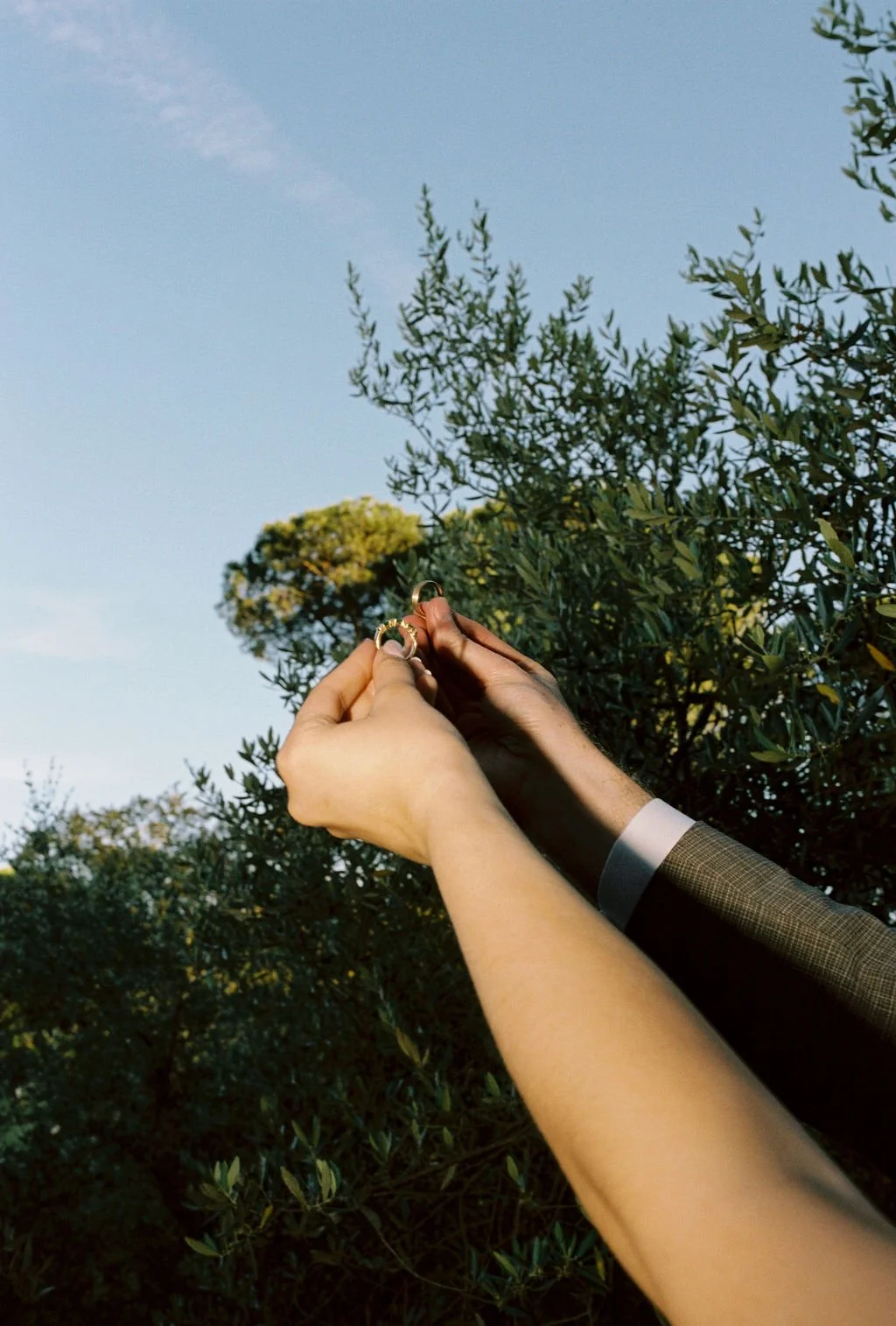 A couple holding wedding rings outdoors, with the bride's hand on the left and the groom's hand on the right. The background features trees and a clear blue sky.