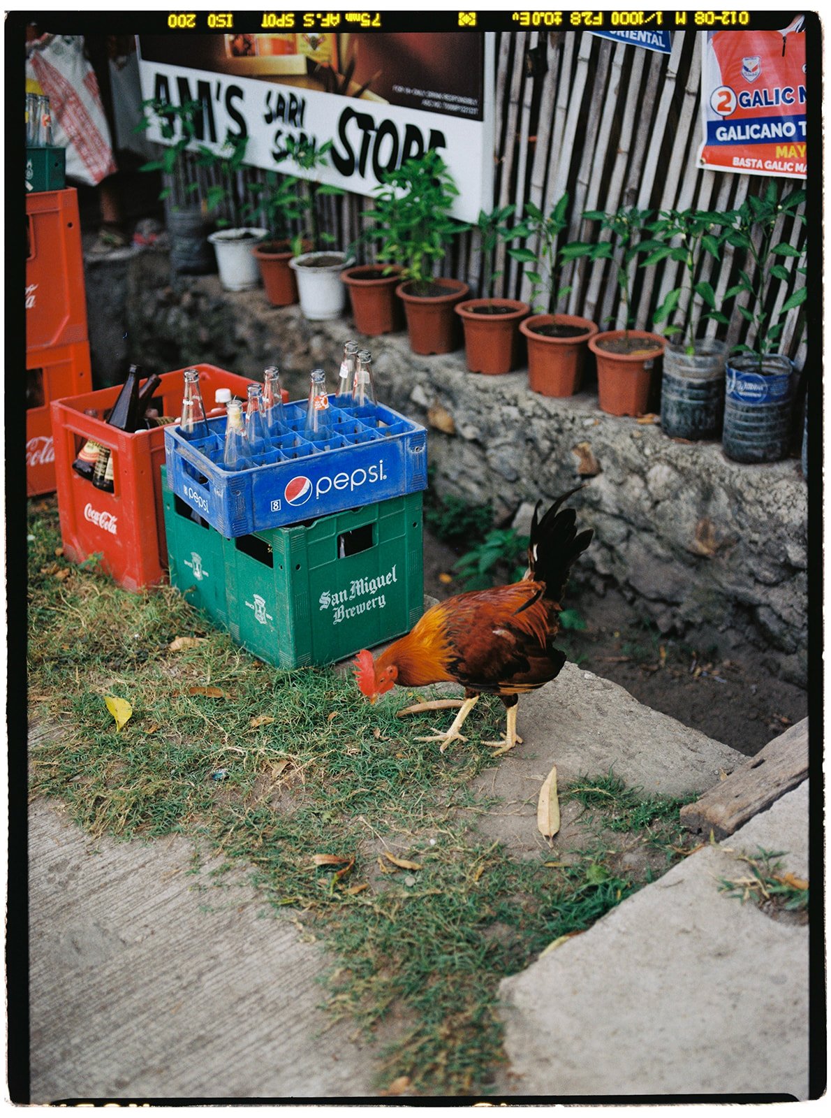 Philippines_pentax_23_websize.jpg