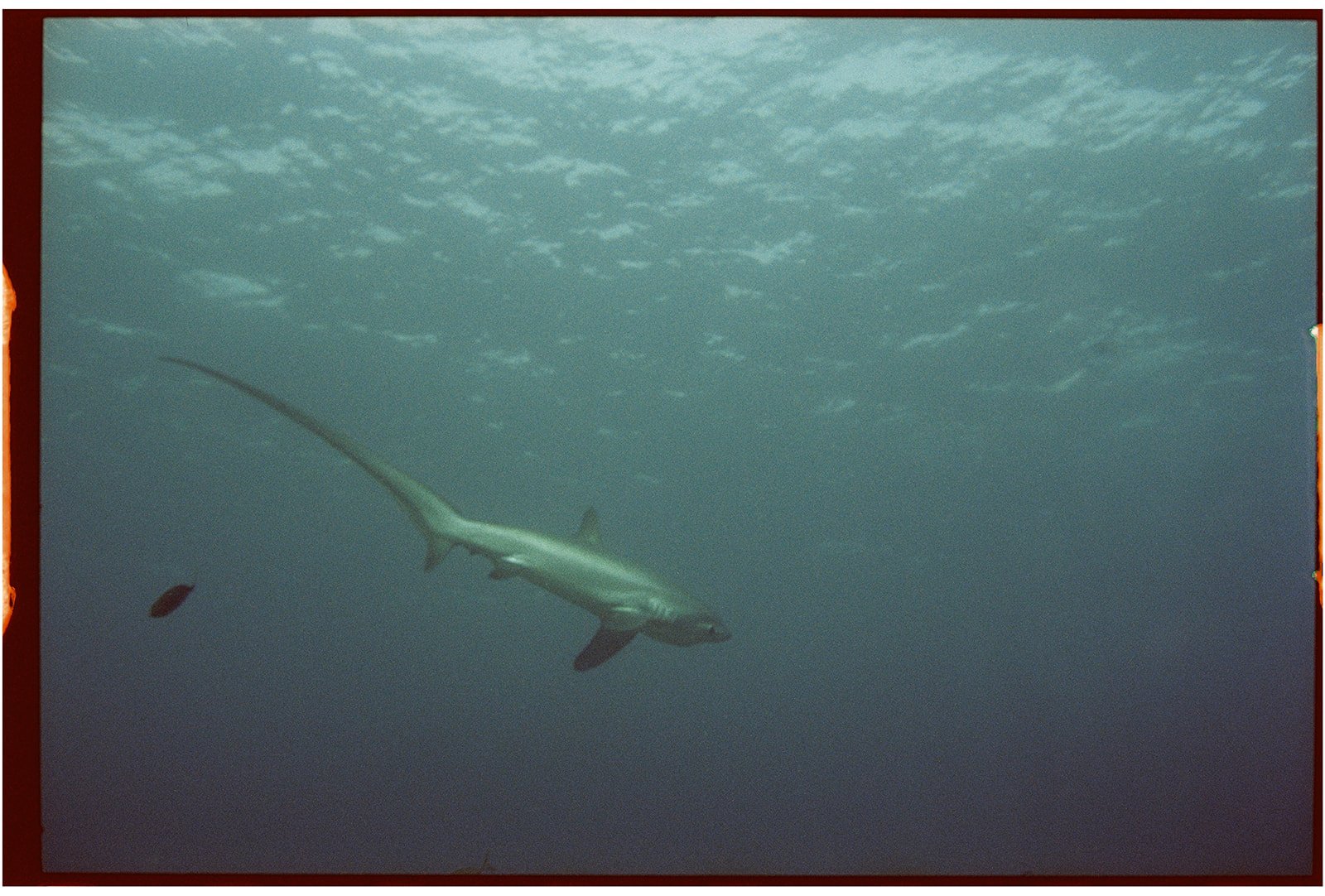 Philippines_nikonos_111_websize.jpg