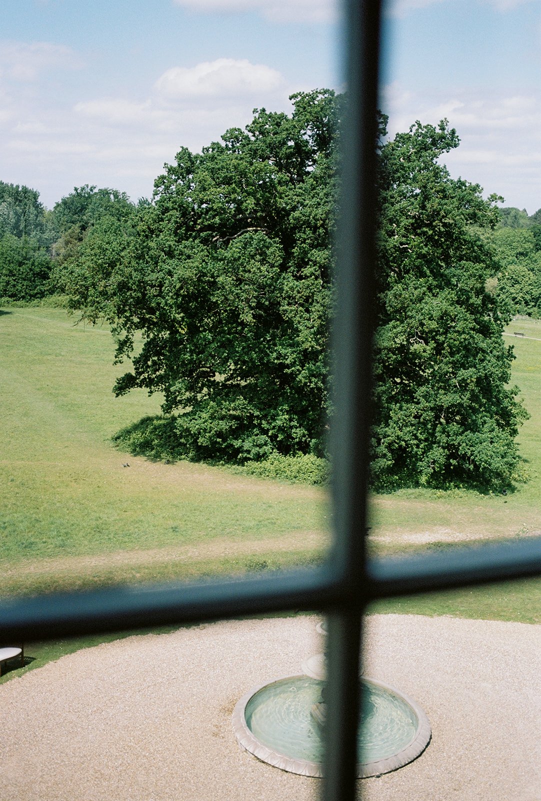 Renee+Joshua_Film_44_websize.jpg