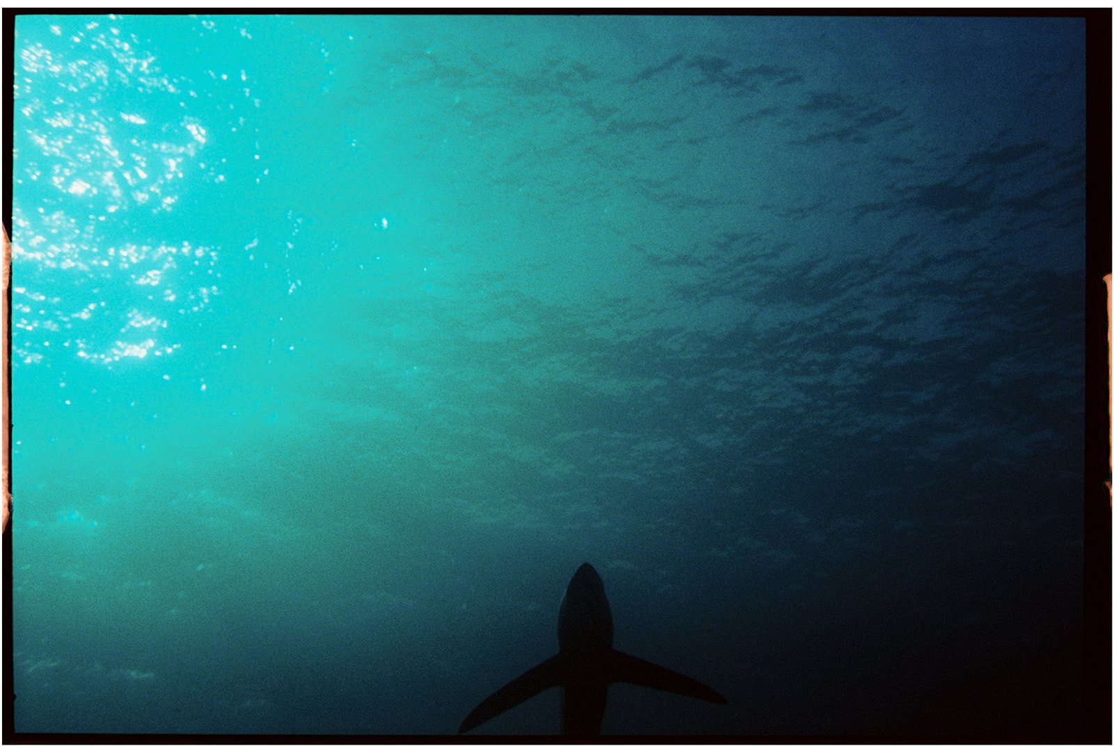 Philippines_nikonos_105_websize.jpg