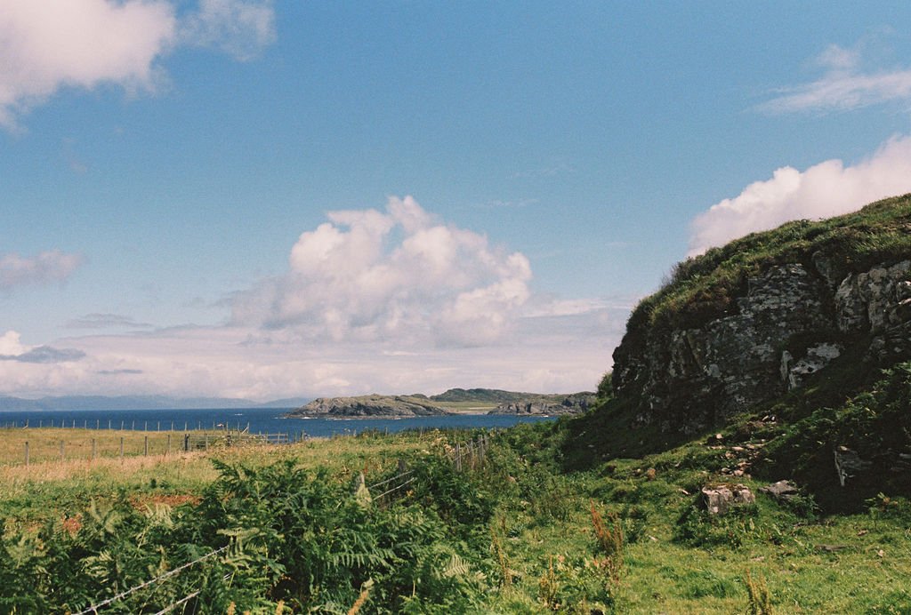 Pippa&Angus_0009.JPG