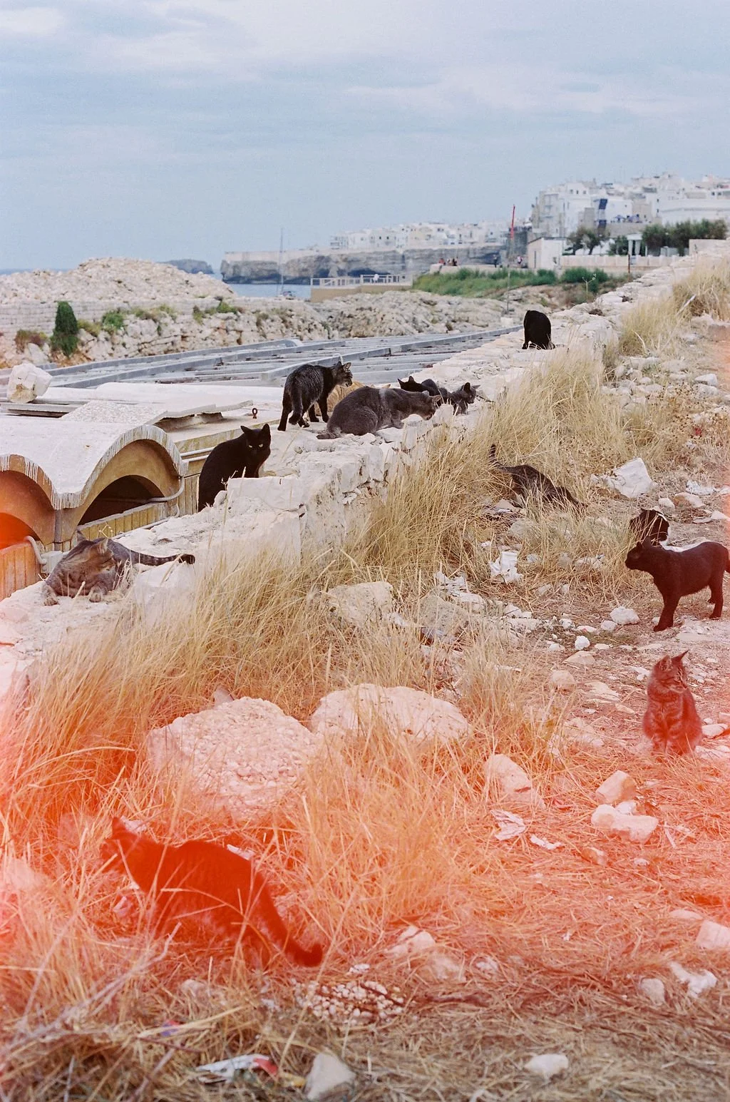 Puglia-(29).jpg