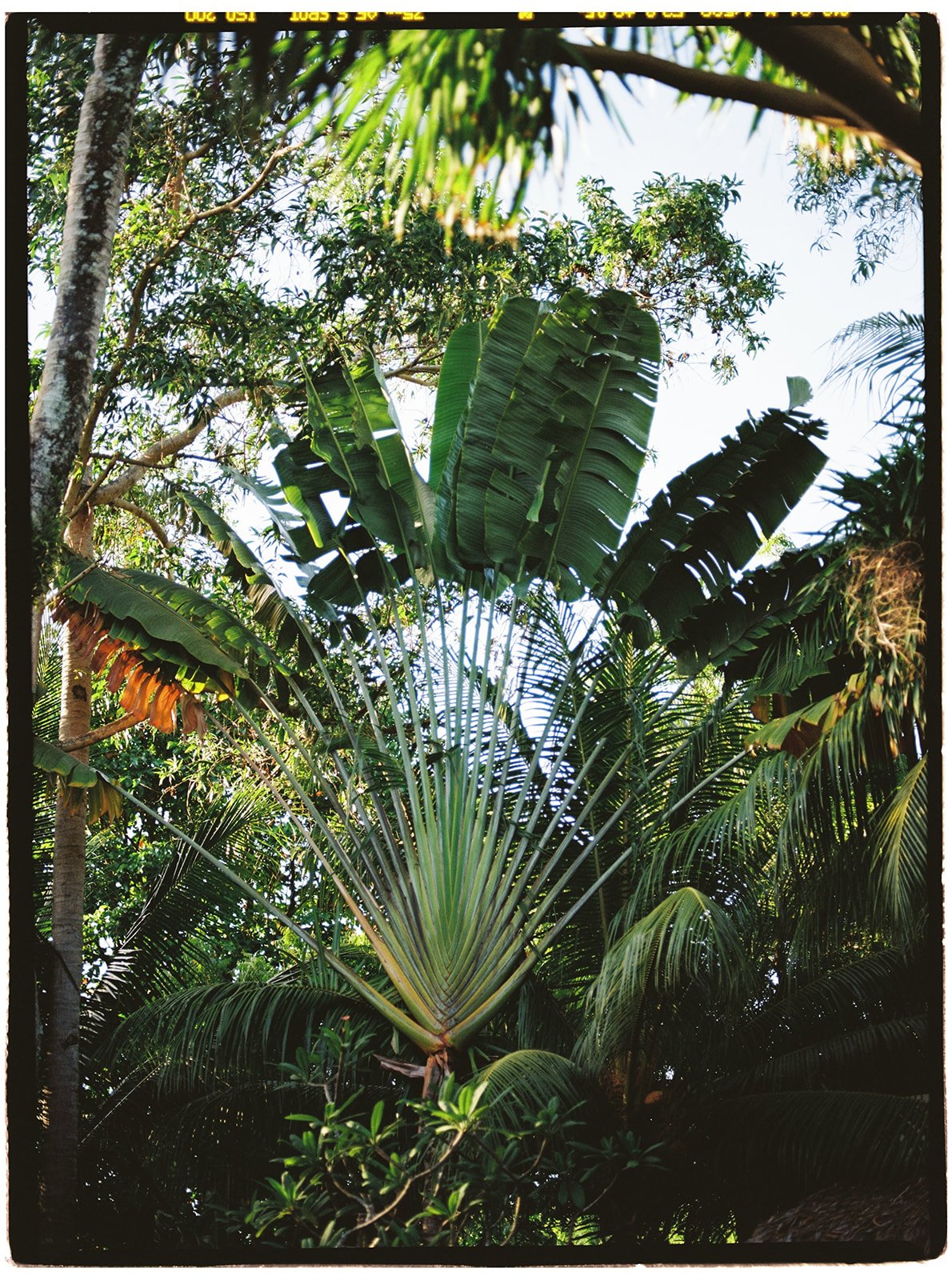 Philippines_pentax_16_websize.jpg