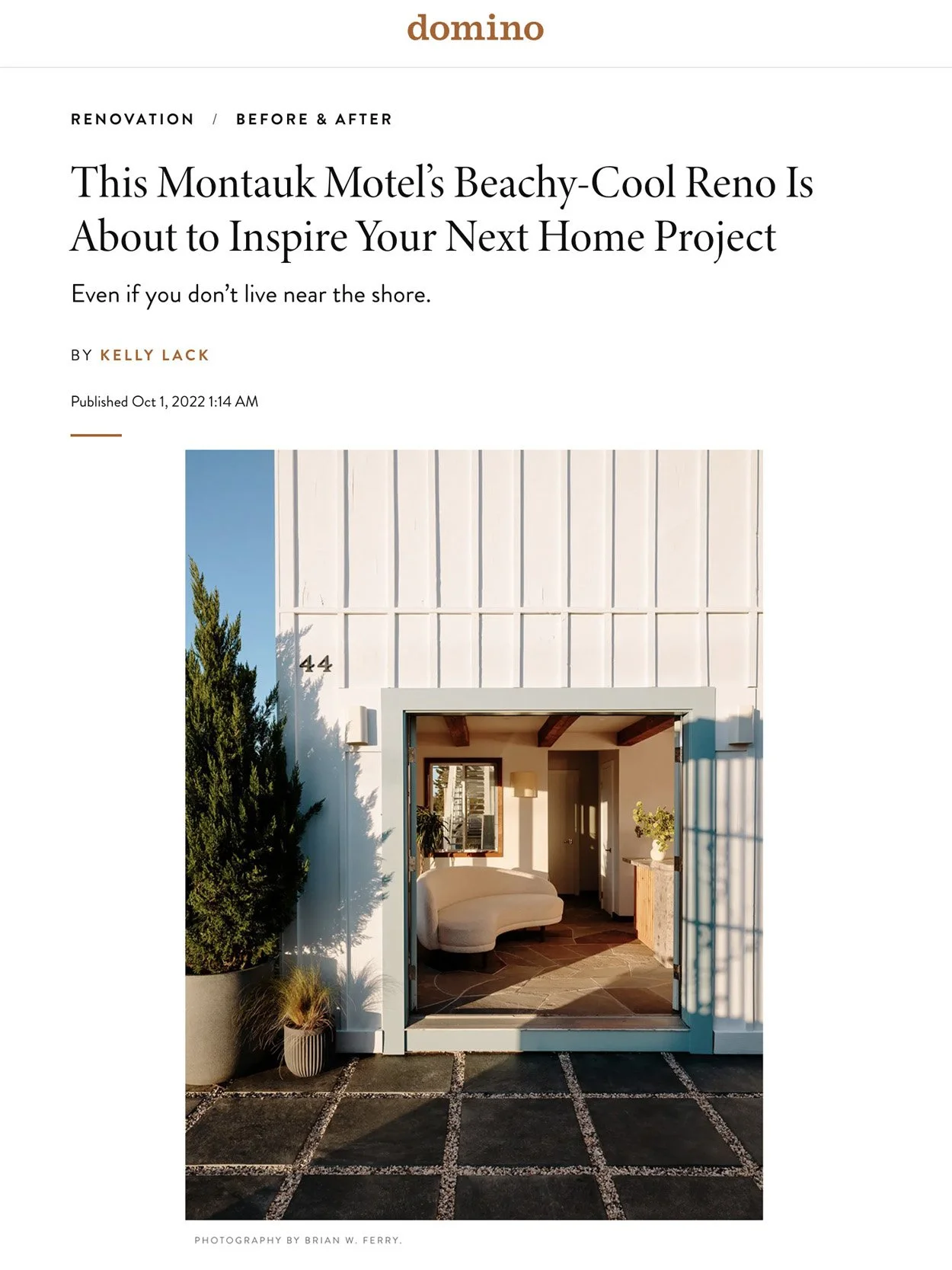 DOMINO | DAUNT’S ALBATROSS