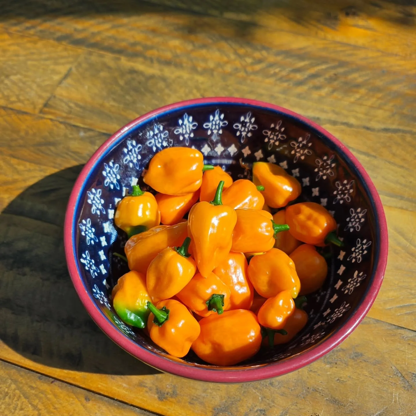 This summer sun has given me a bumper crop of home grown habaneros 🌶️—fiery little things that are definitely going to create some heat in my belly.
It reminded me of tapas in yoga. Not the Spanish small plates (though I wouldn’t say no