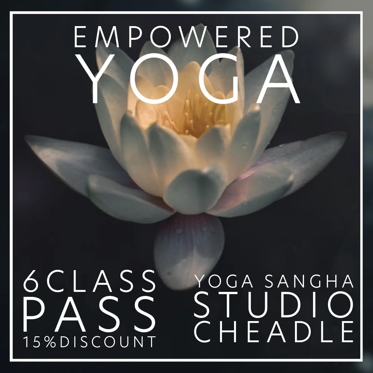 6 Class Pass for Empowered Yoga classes at Yoga Sangha Studio, Cheadle