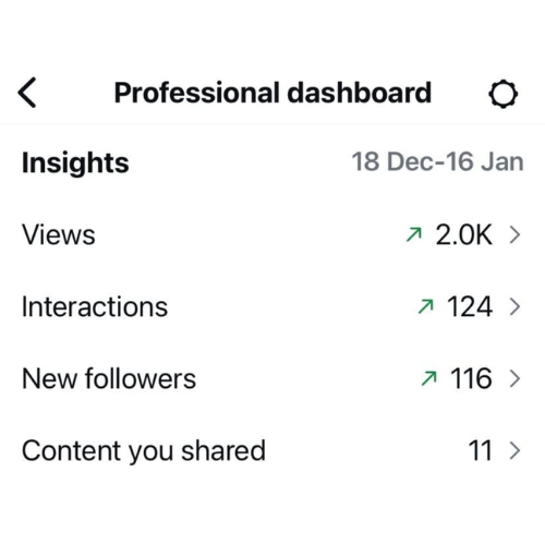 Screenshot of a professional social media dashboard showing insights from December 18 to January 16, including 2,000 views, 124 interactions, 116 new followers, and 11 shared contents.