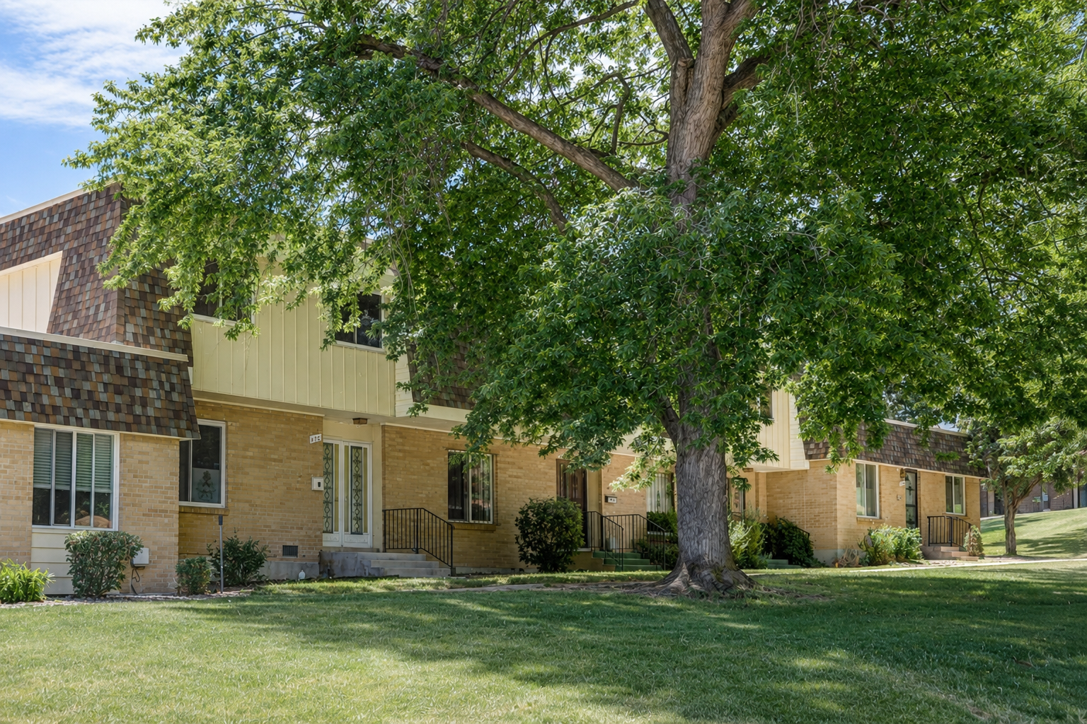 YOUNGFIELD EXTERIOR.png