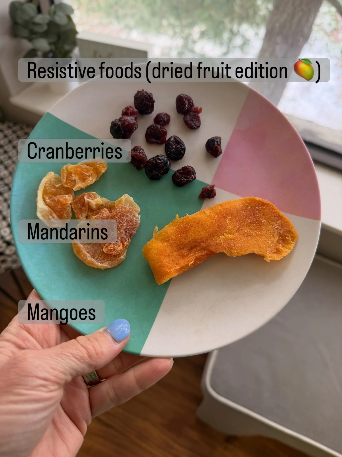 Today in sessions I pulled out some of my favorite resistive foods&hellip;moving from easiest to most challenging - dried cranberries, dried mandarins 🍊, and then dried mango 🥭:)

In their dried form it creates more resistance.  More resistance=mus
