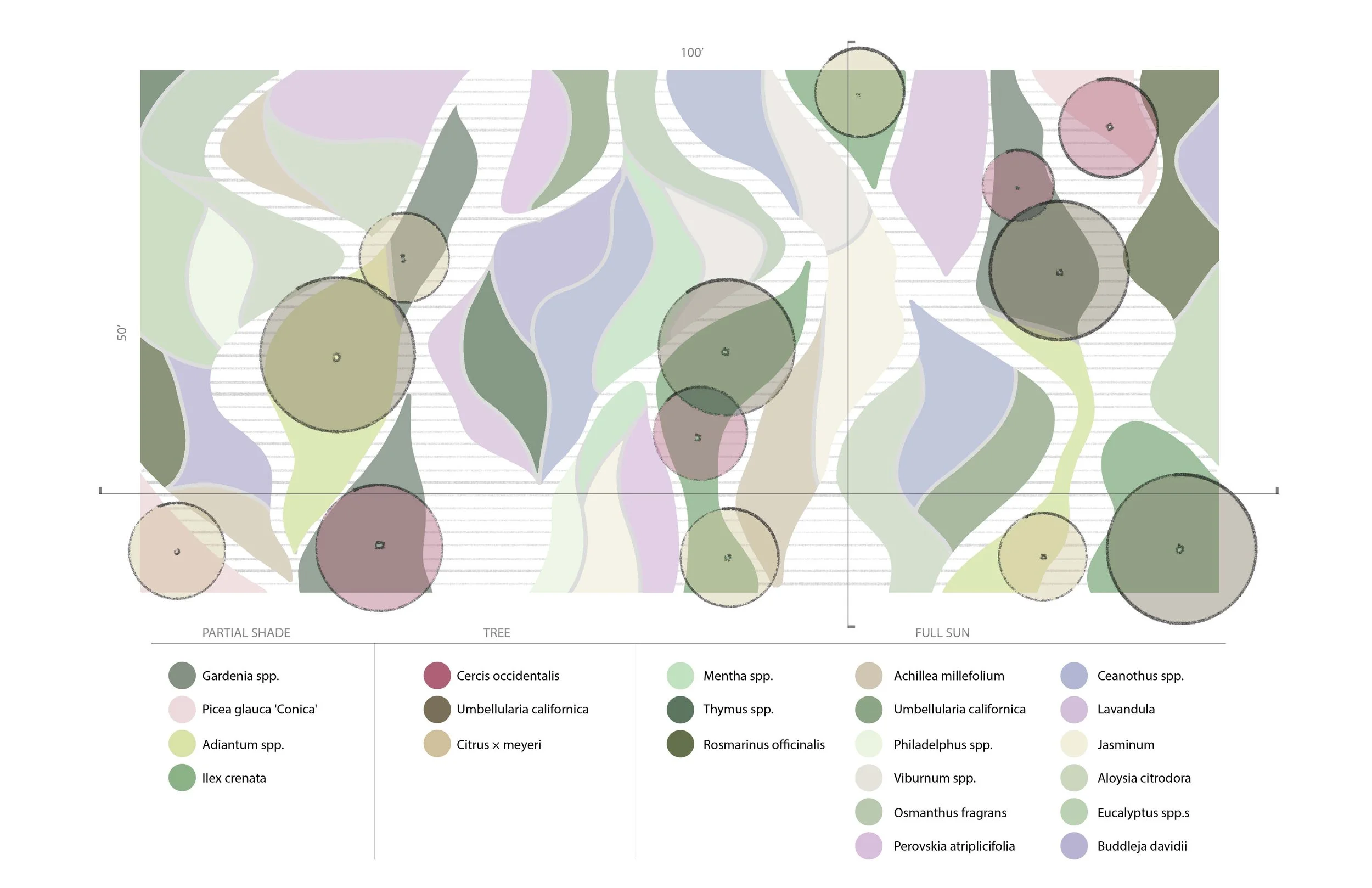 Plants Placemaking_Page_24.jpg