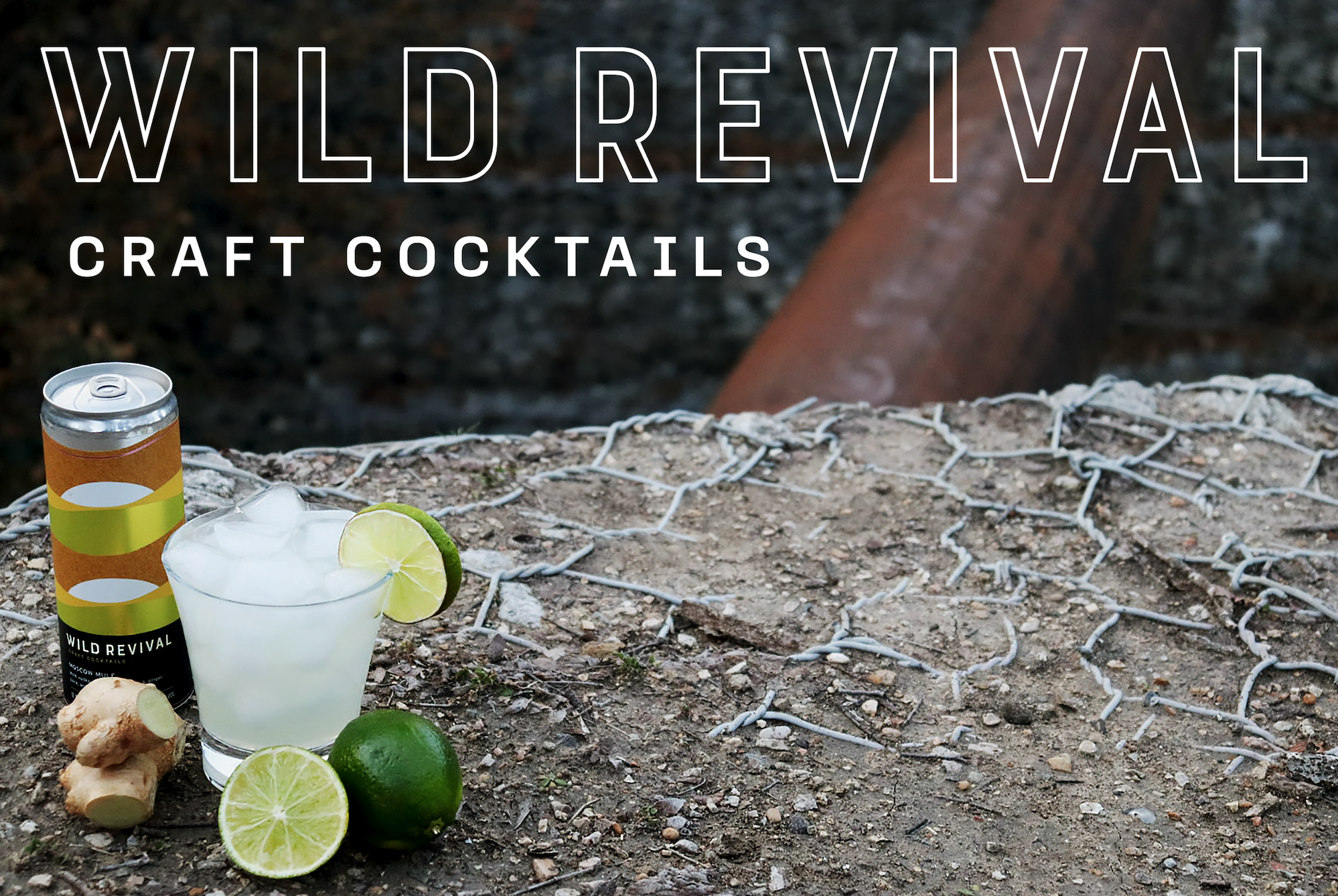 Screen Shot 2024-07-25 at 8.59.10 PM.png