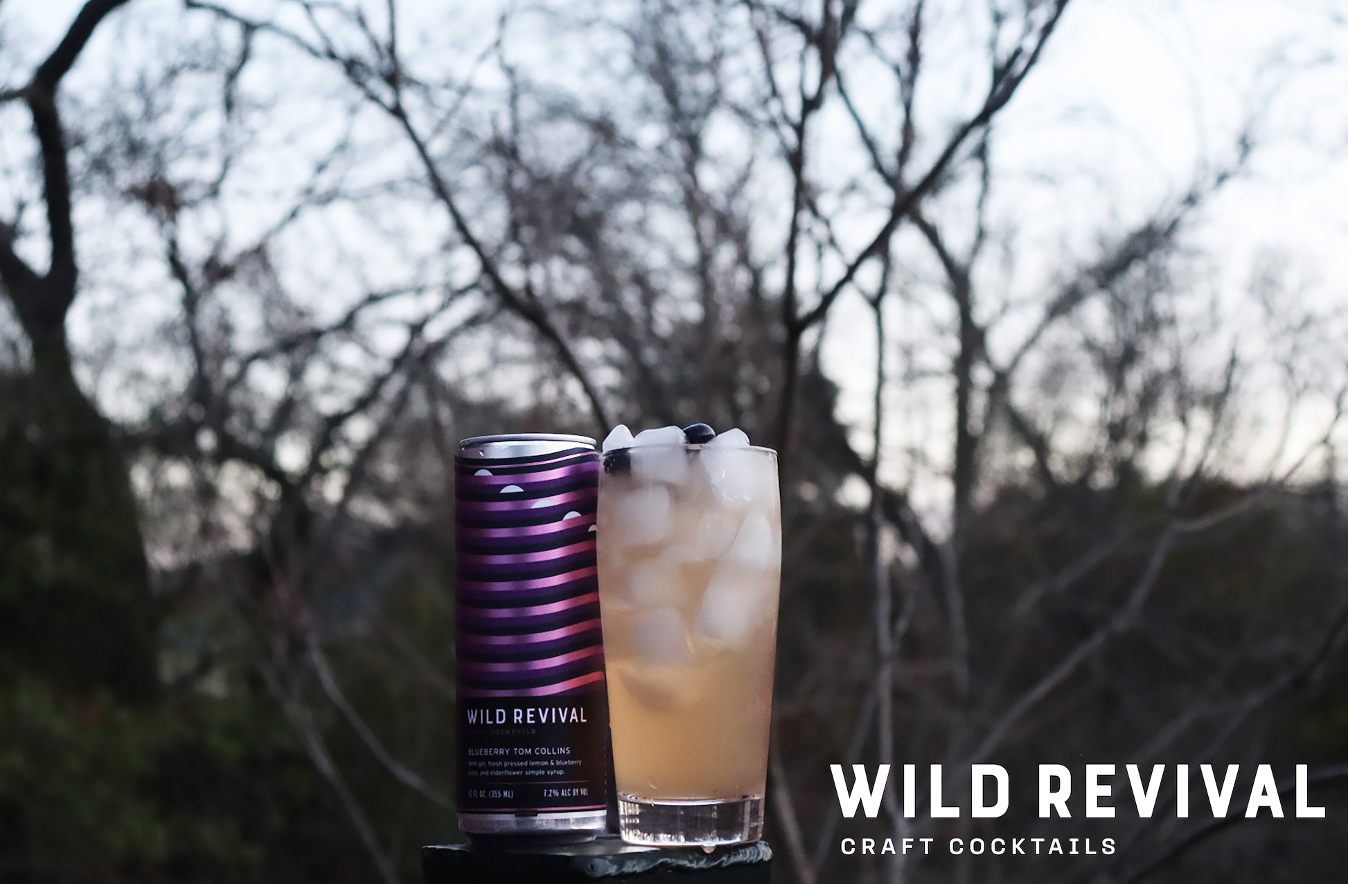 Screen Shot 2024-07-25 at 8.59.19 PM.png