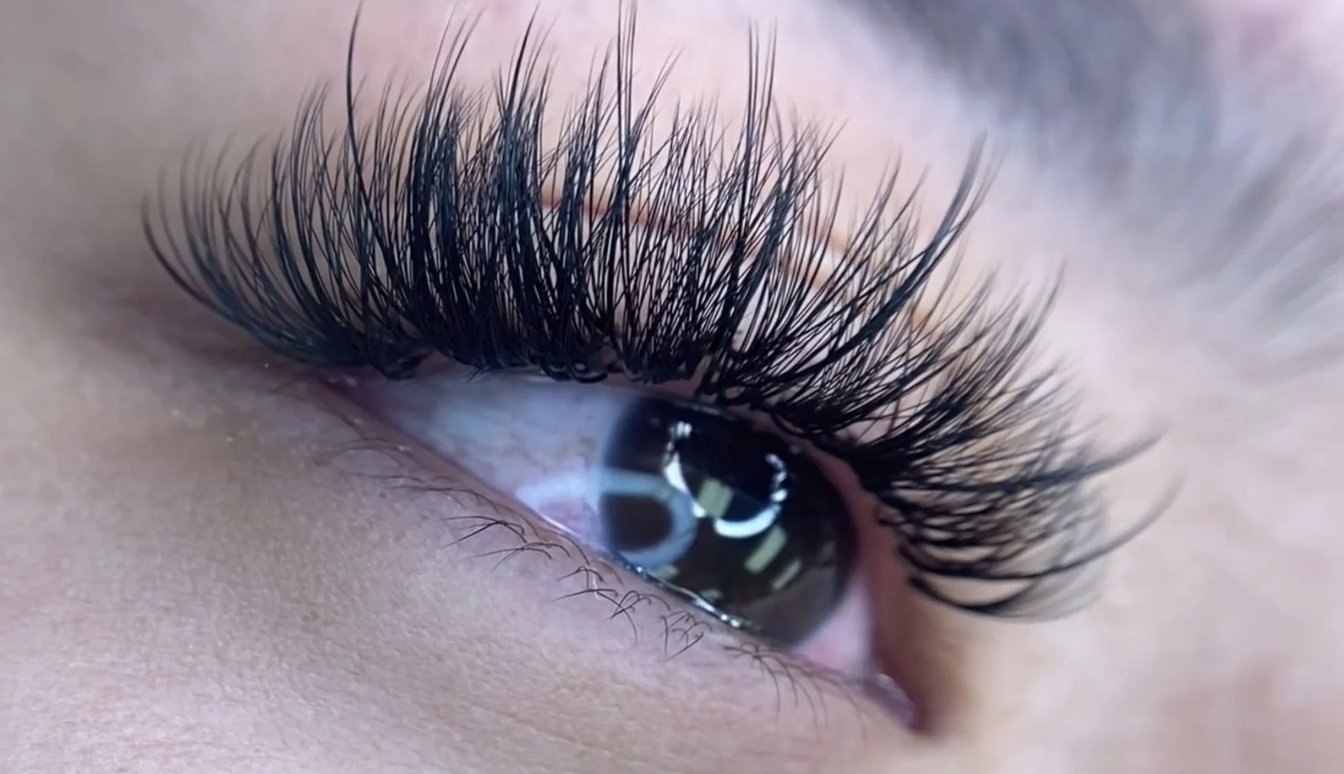 Close-up of an eye with long, thick eyelashes.