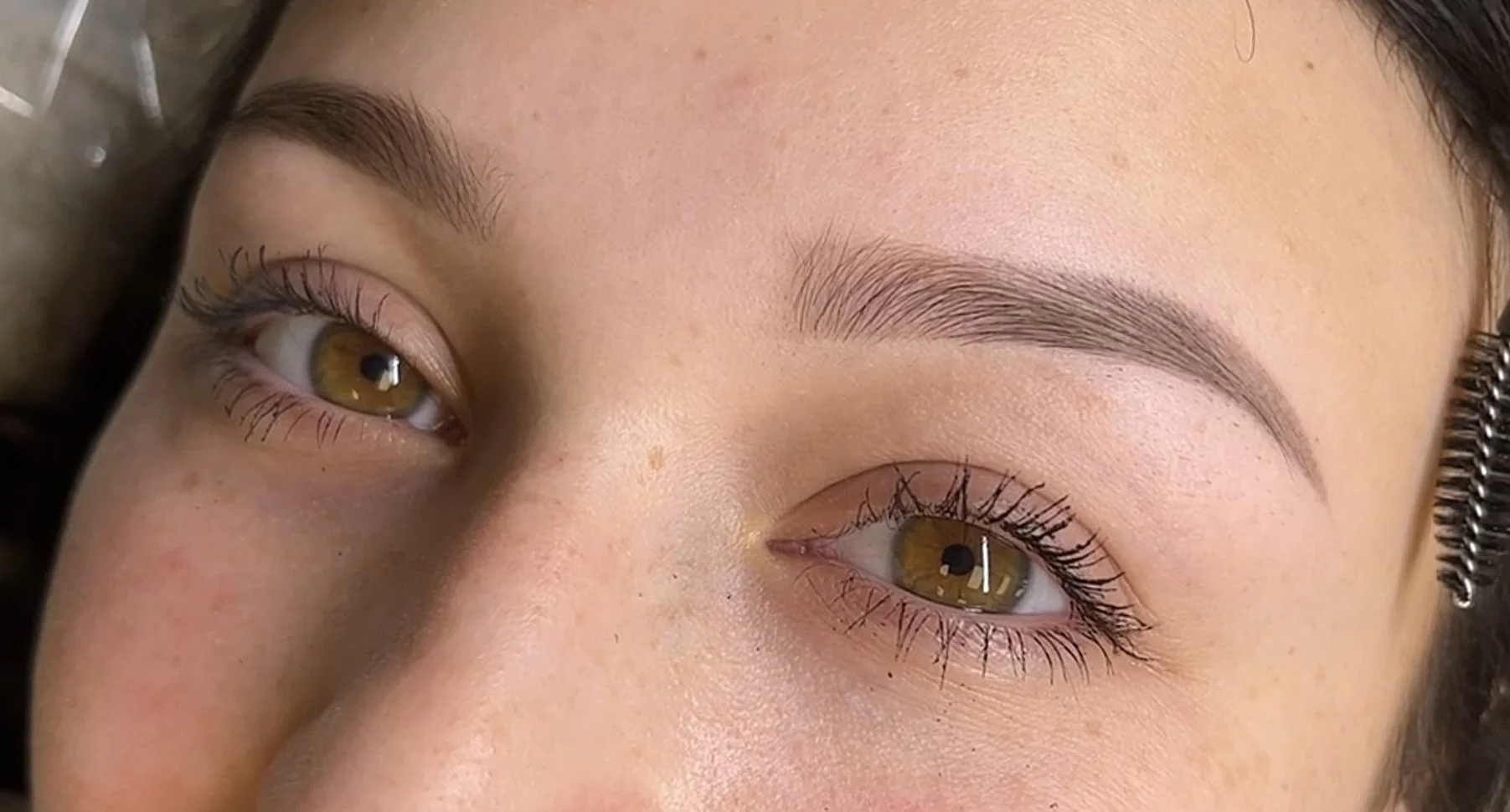 Close-up of a person's eyes and eyebrows with well-groomed brows and lashes.