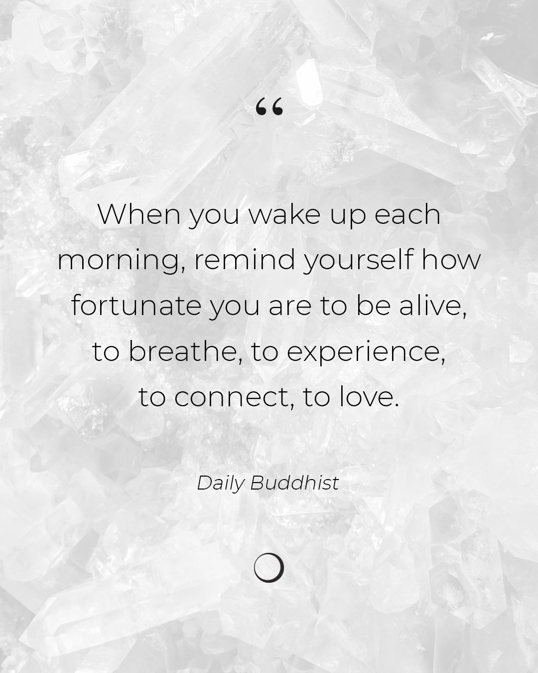 Read that again.
✨ &ldquo;When you wake up each morning, remind yourself how fortunate you are to be alive, to breathe, to experience, to connect, to love.&rdquo;

In the rush of routines, to-do lists, and timelines, we sometimes forget that waking u
