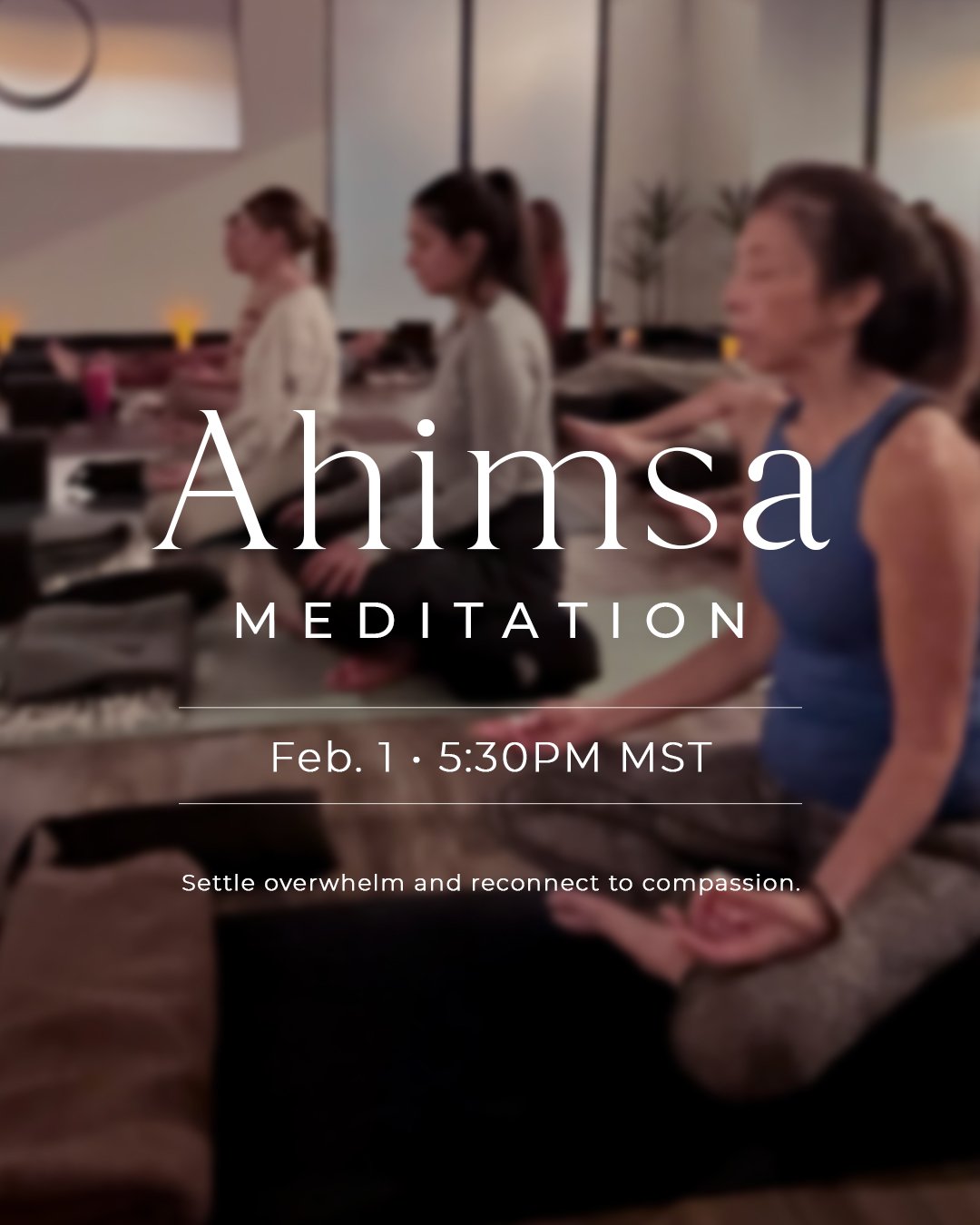Practice Peace. Fund Protection.

Join Colbie at FORMATION for a 30-minute donation-based meditation grounded in ahimsa (non-violence), offering space to settle overwhelm and reconnect to compassion.

Come with an open heart. In heavy times connectio