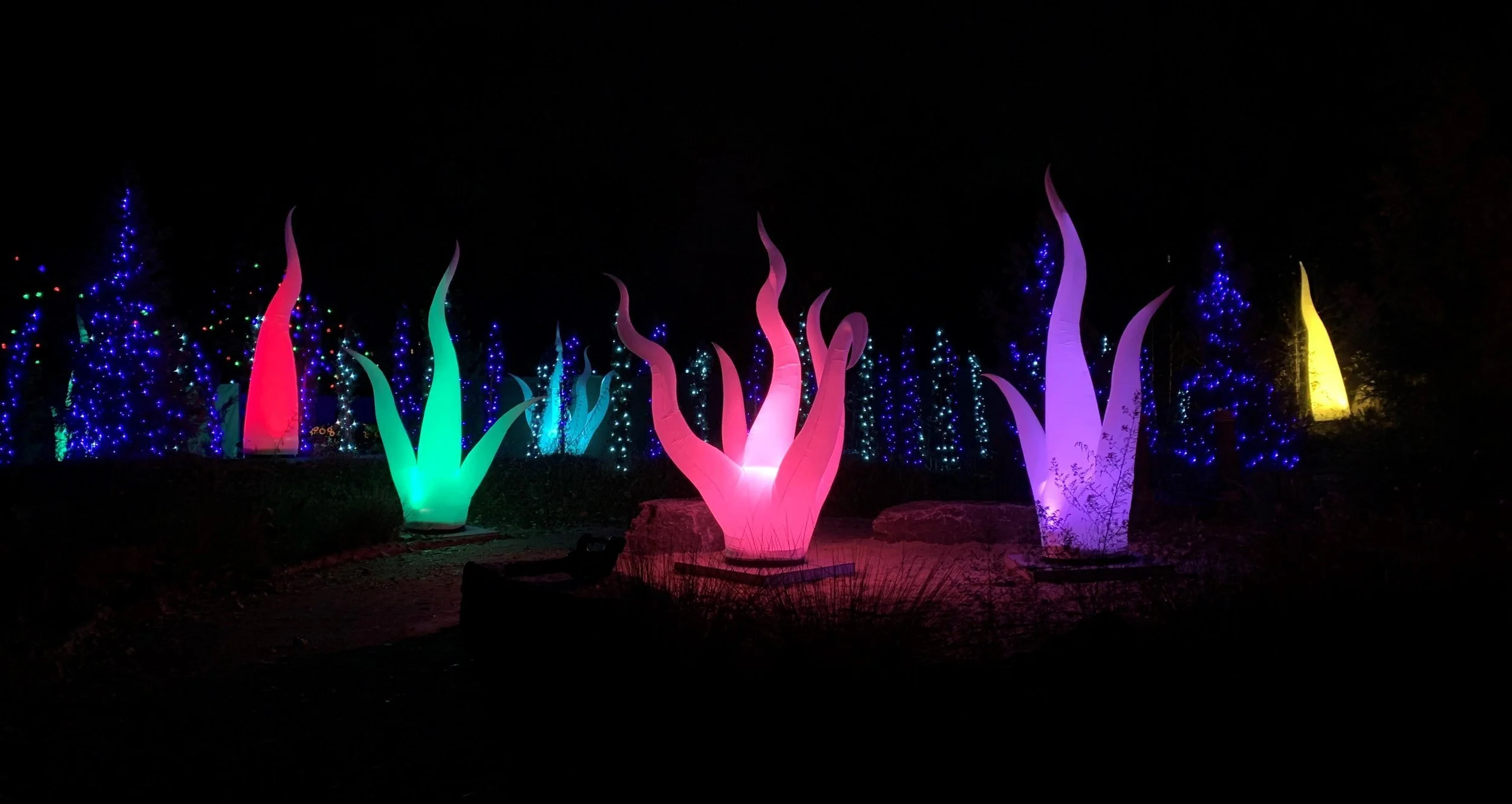 Under-the-Sea-inflatable-with-lighting-tentacles.jpg