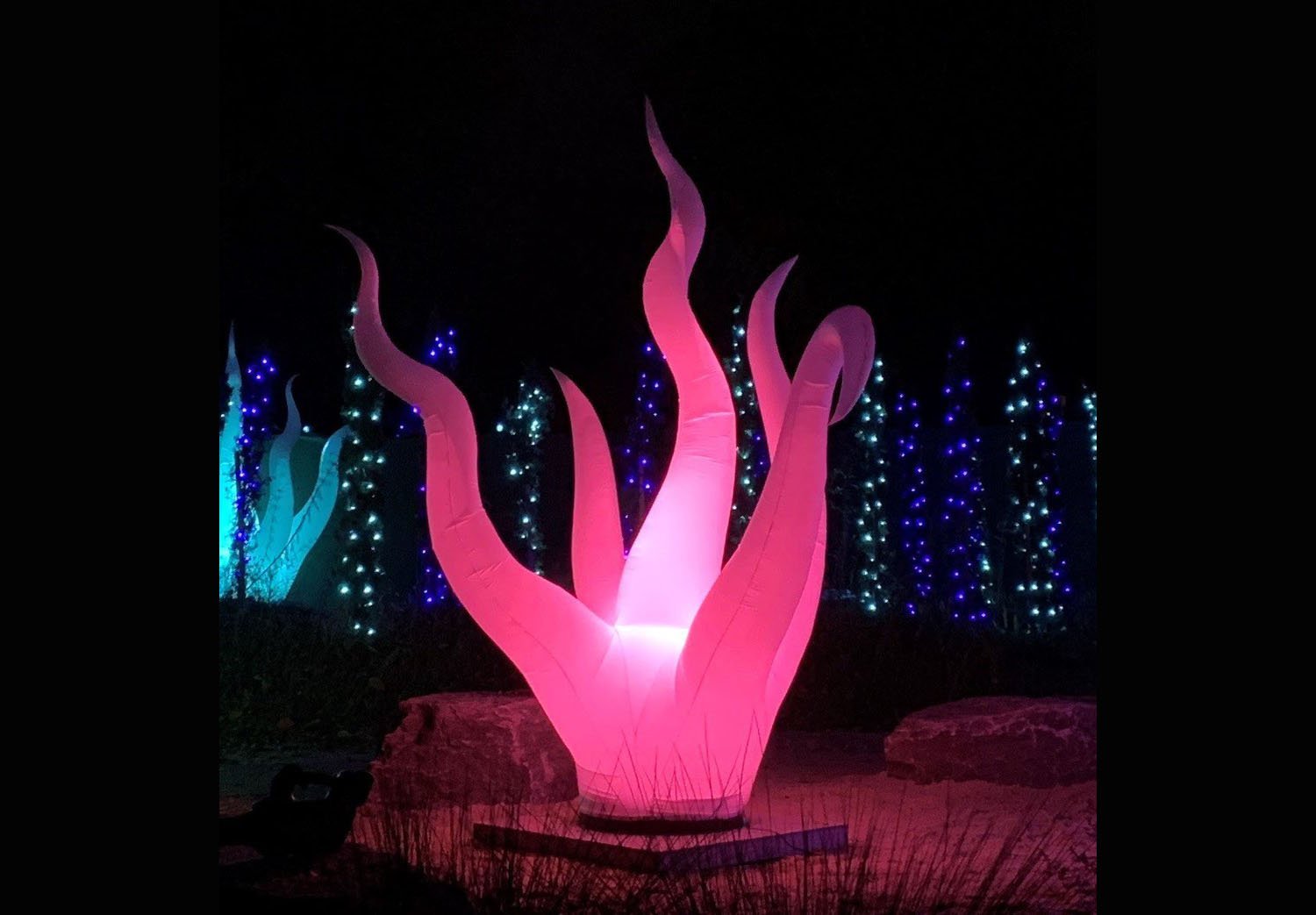 pink-lights-zoo-under-the-sea-event.jpg
