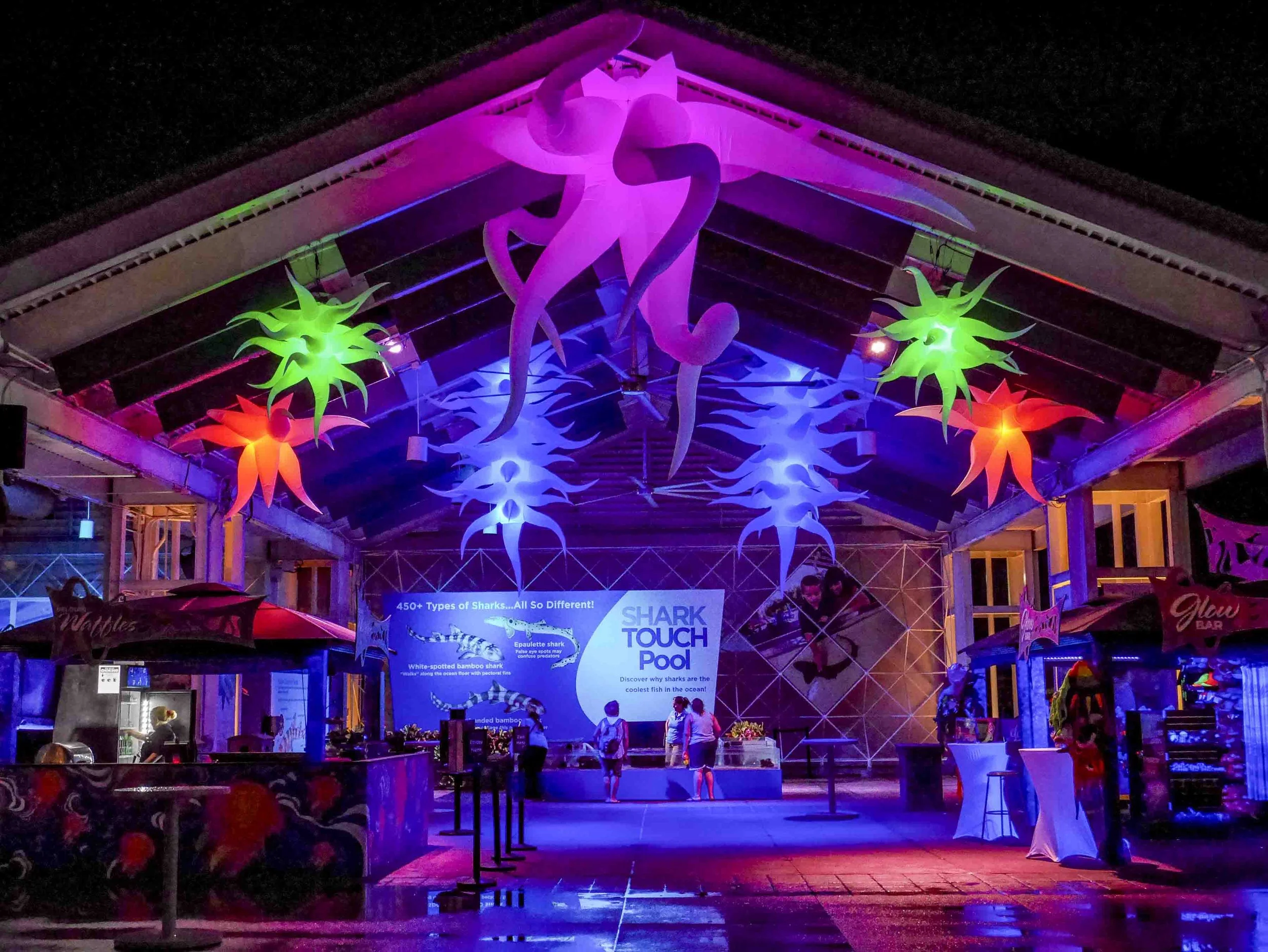 Under The Sea Inflatable at Sea World night time 