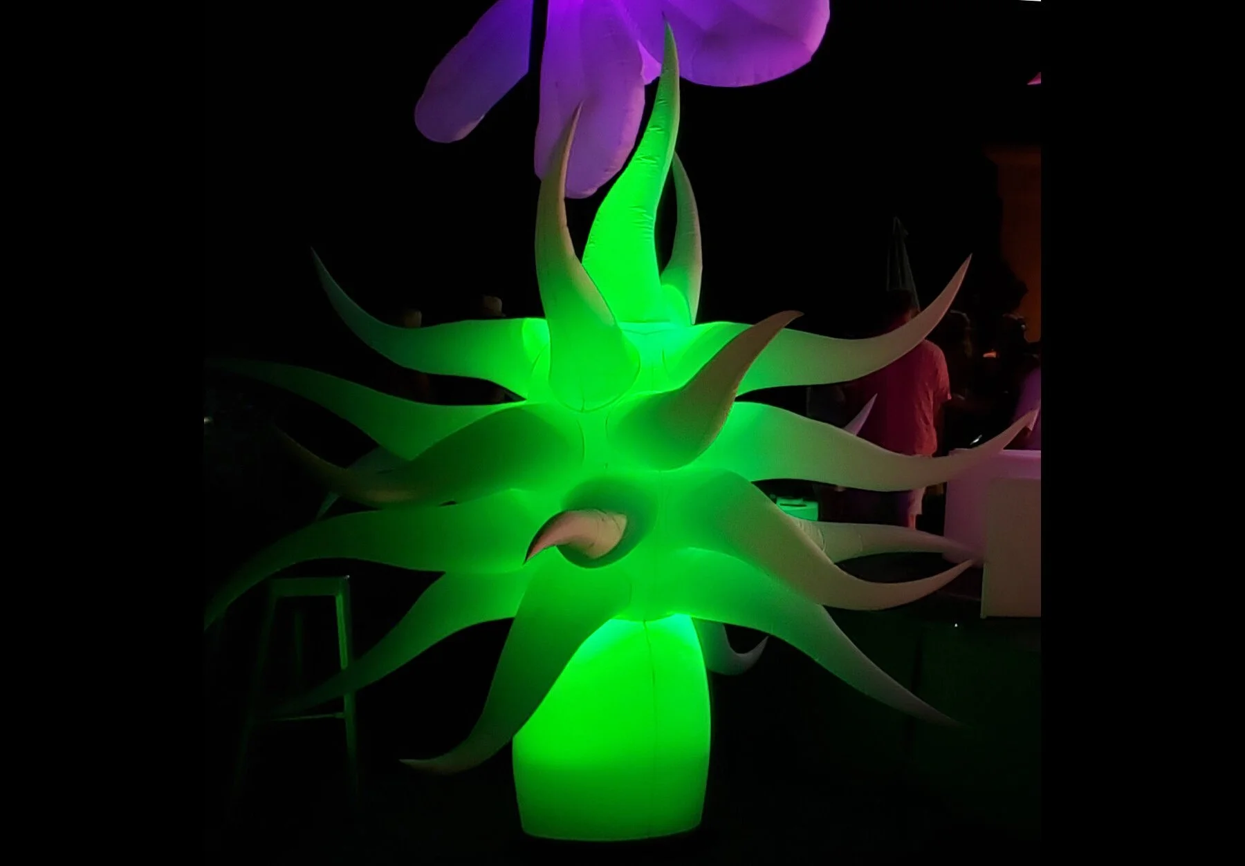 Lilia-Pod-green.jpg