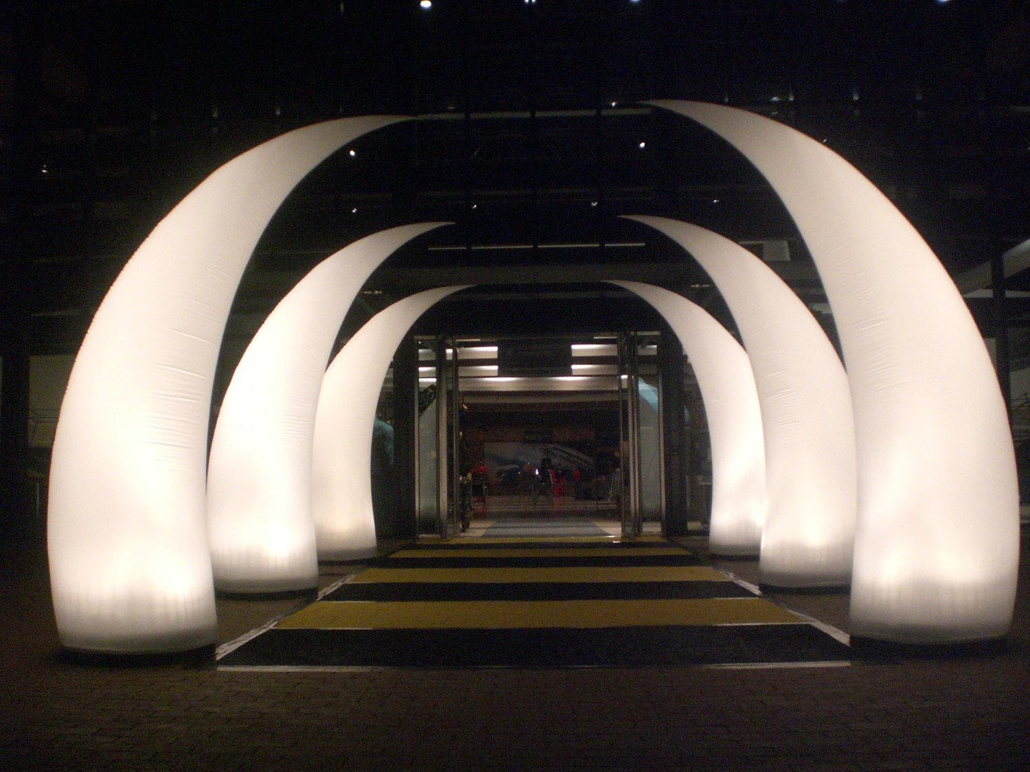 White-horns.jpg