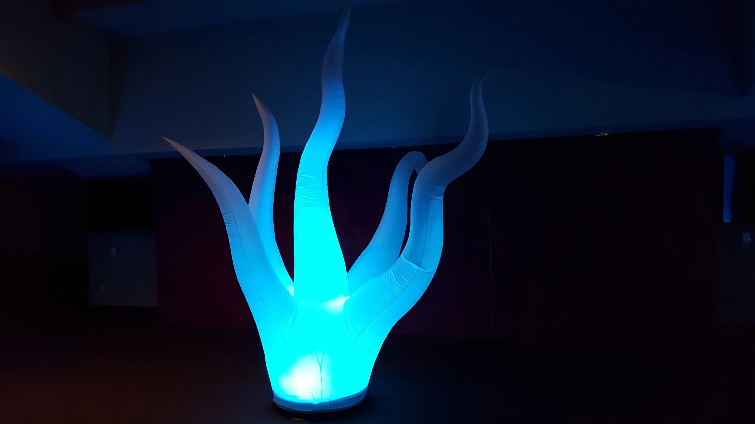 Under-the-Sea-inflatable-Blue-lighting--Octopus-tentacles.jpg