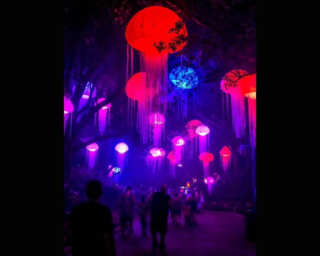 Under-the-Sea-lighting-inflatable-Jellyfish-for-rent.jpg