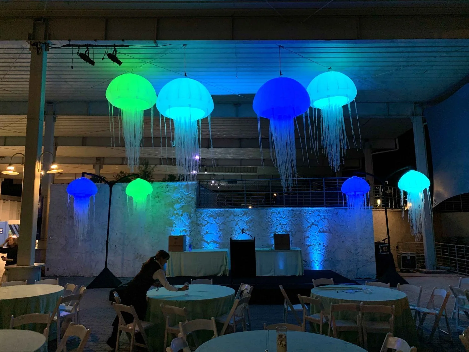 Under-the-Sea-inflatables-with-lighting-Jellyfish-LEDs.jpg