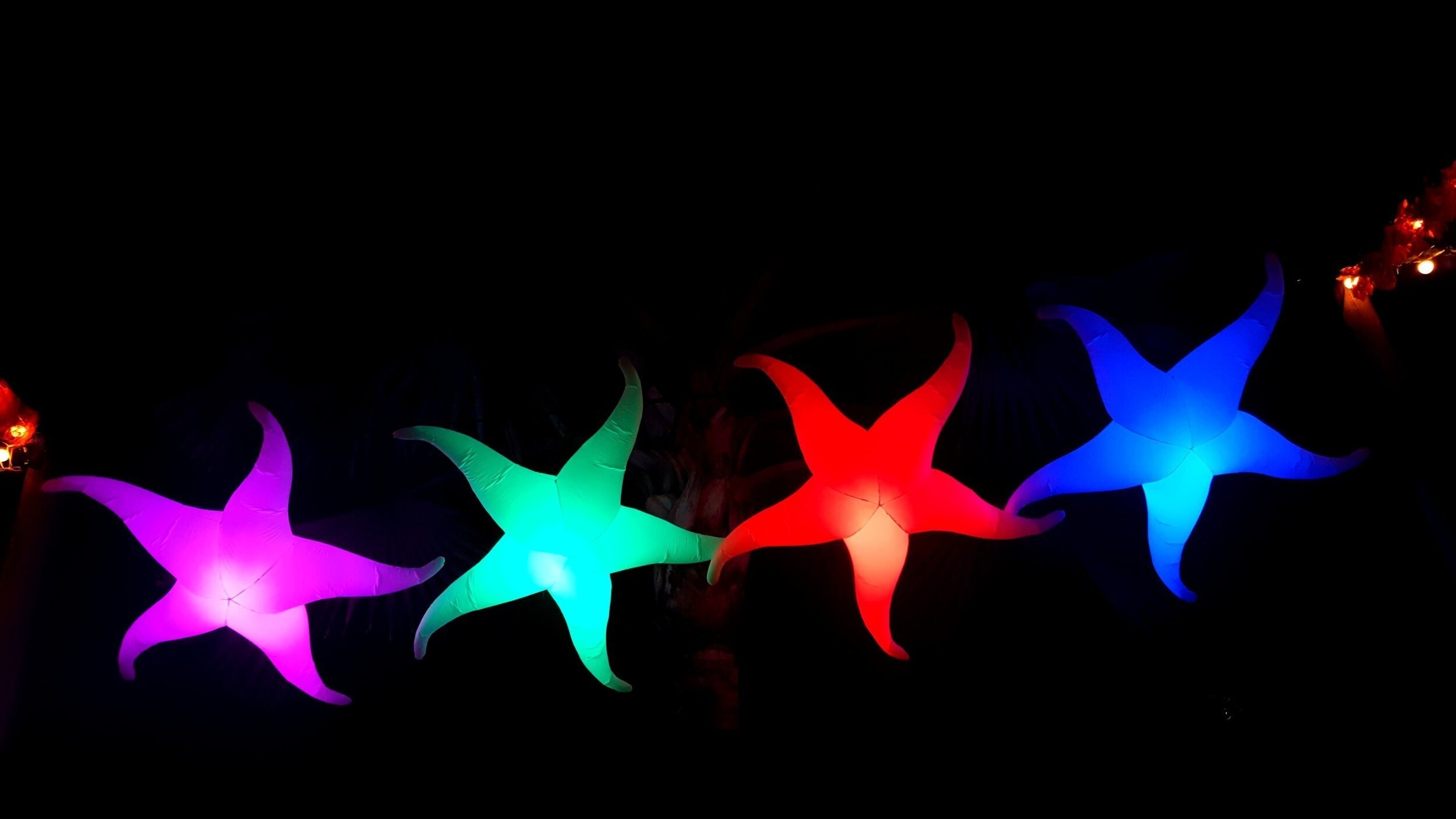 Under-the-Sea-inflatable-with-lighting-starfish.jpg