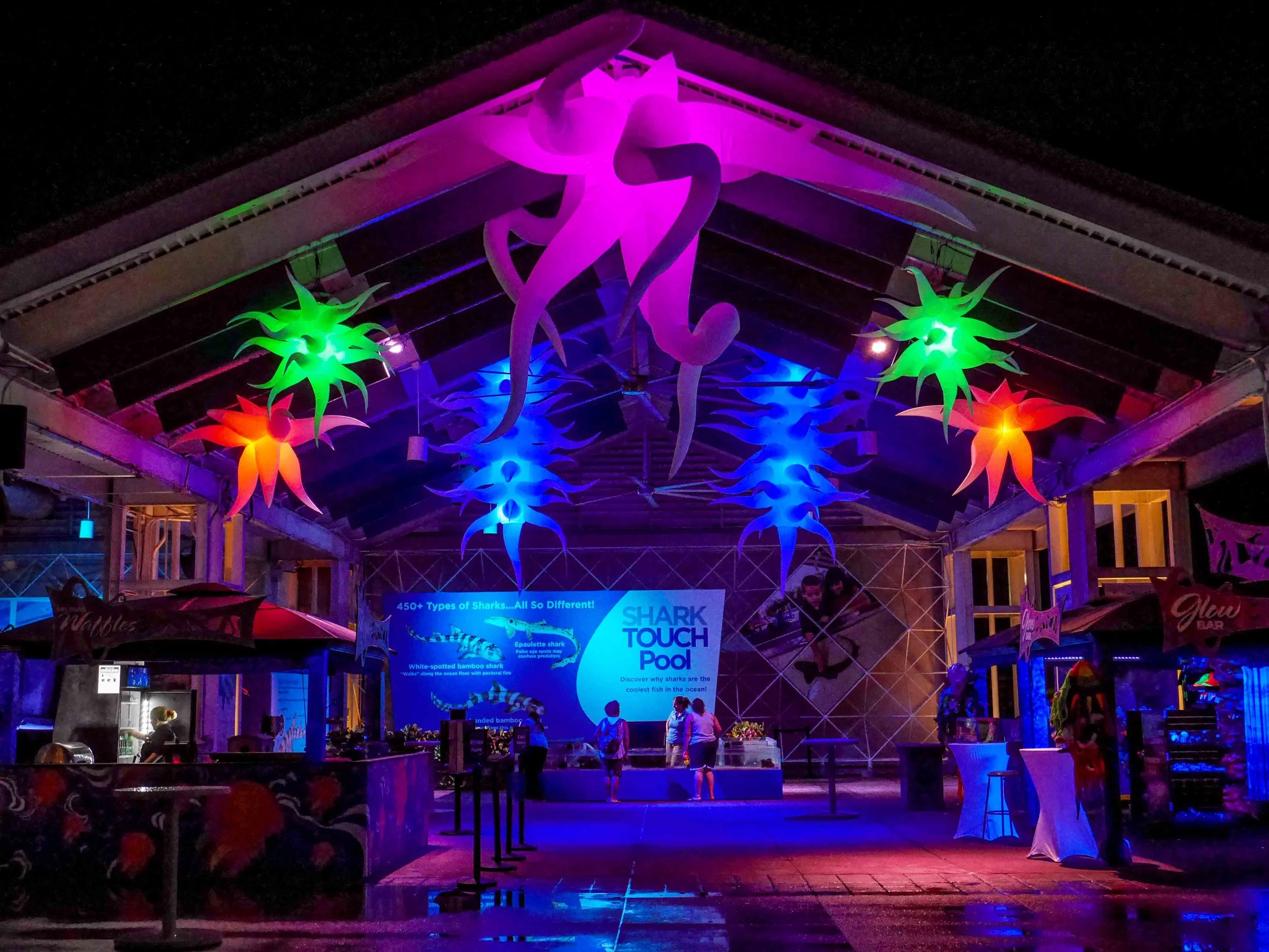 Inflatable-organic-shapes-rental-events.jpg